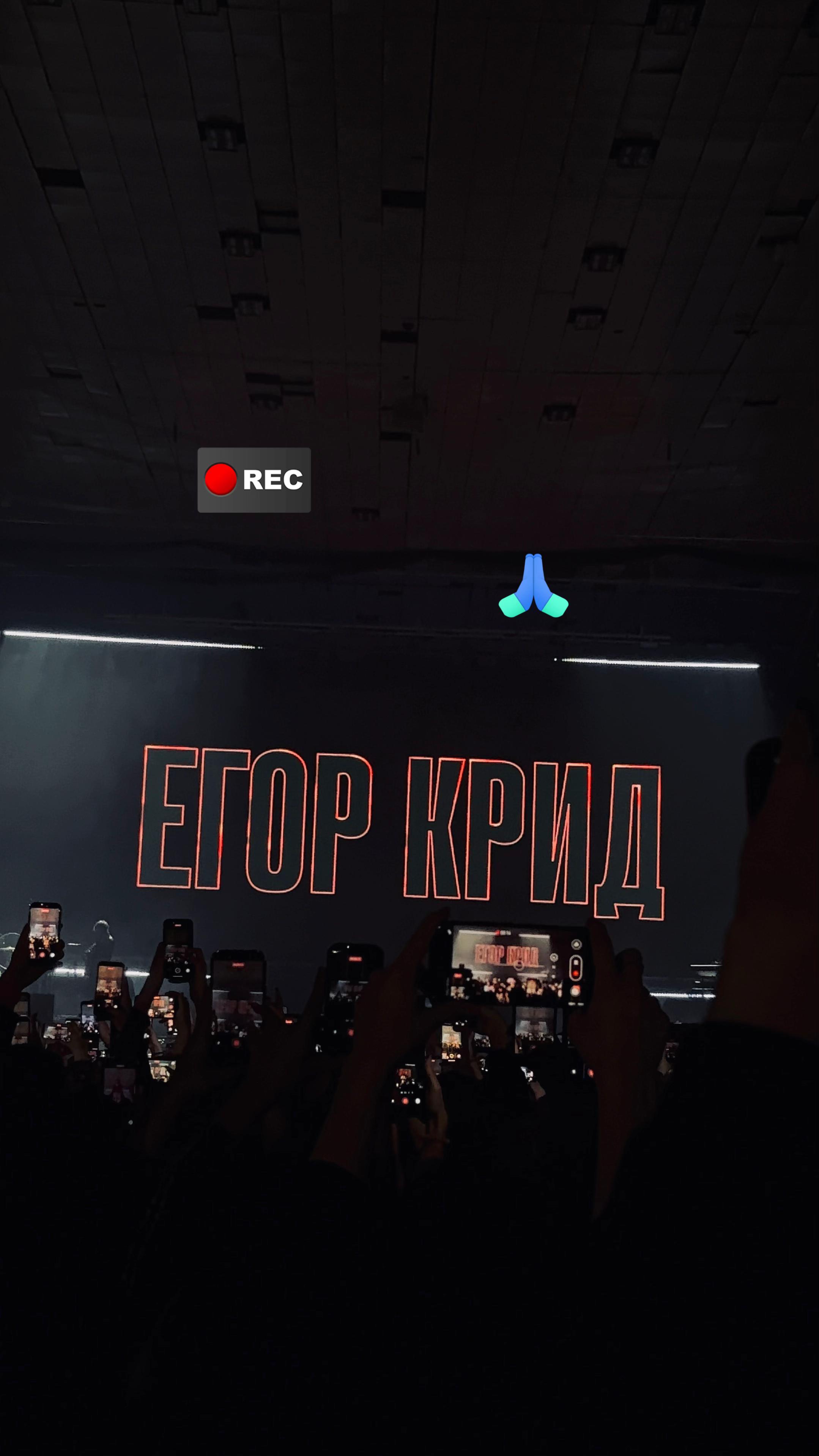 @тгк-s$s🐰
