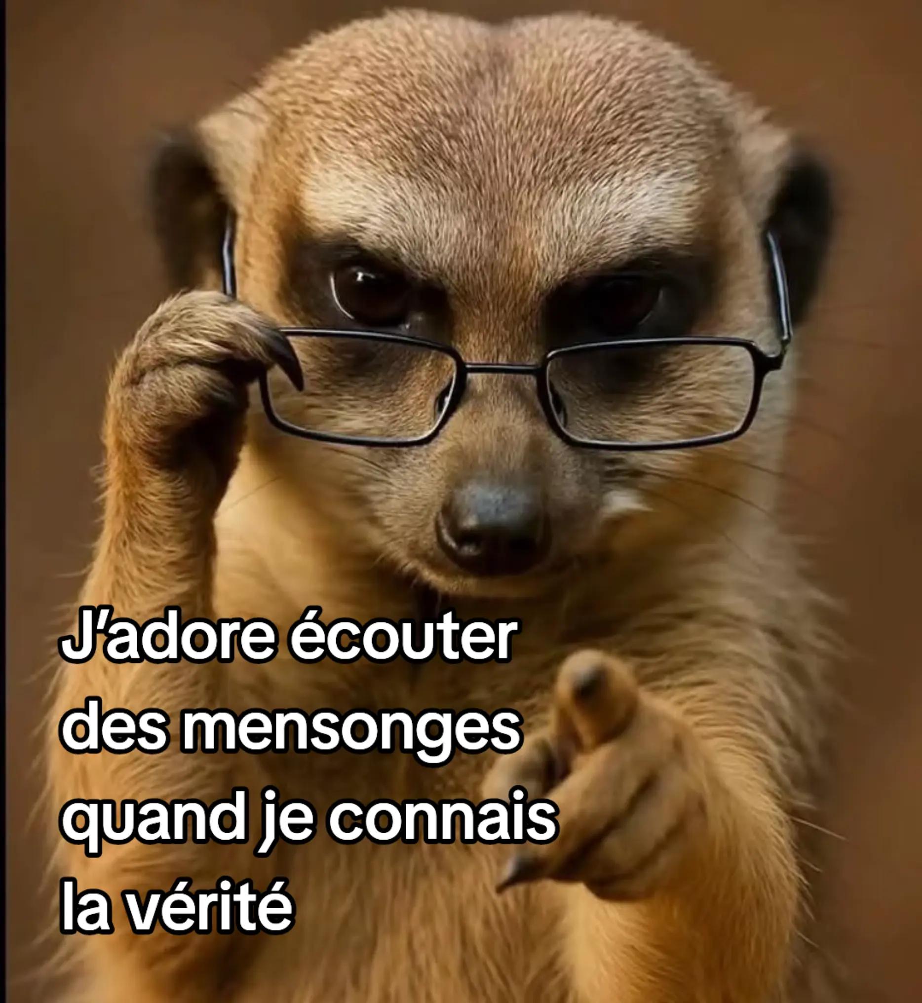 @Christine Vignaud Sangerma