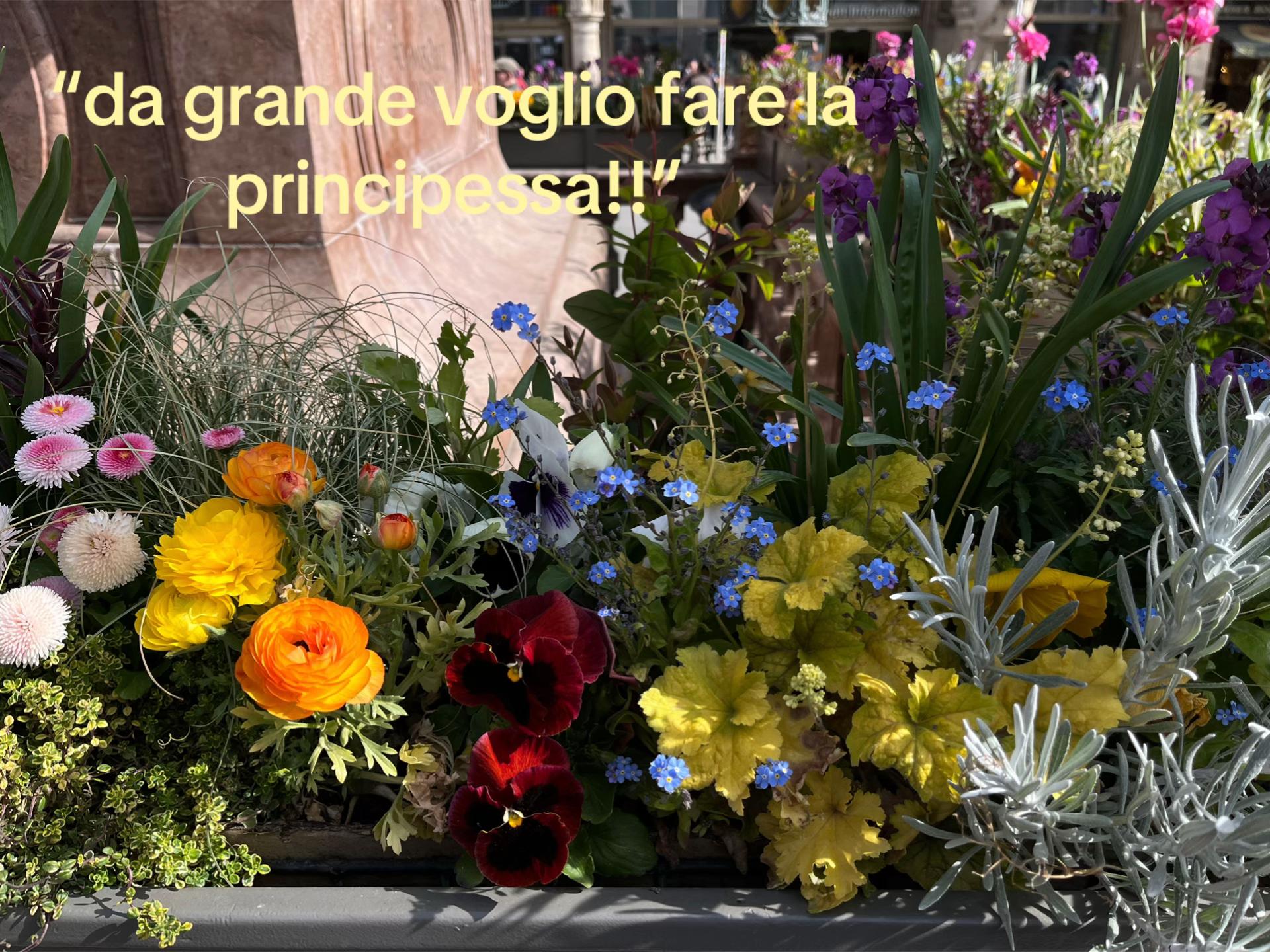 @🍒🤍