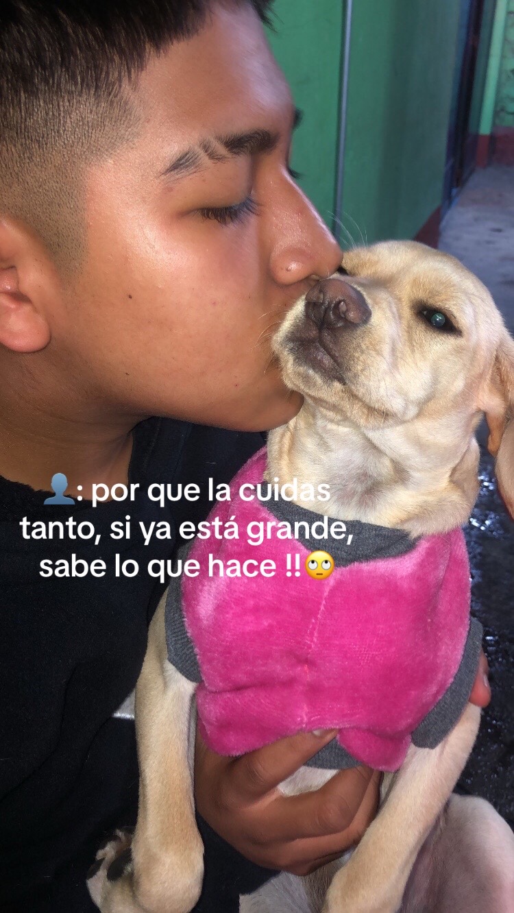@gaelito_cam.