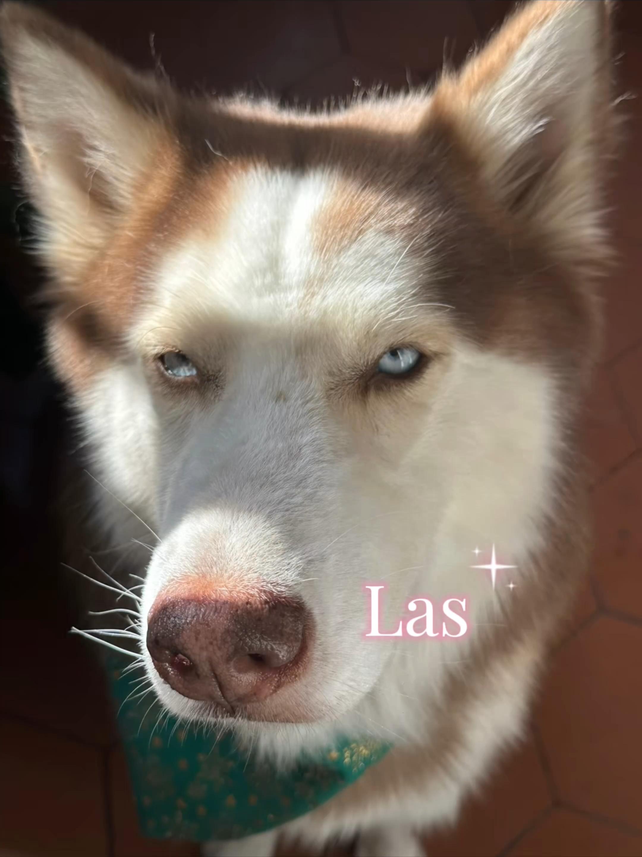 @🦦