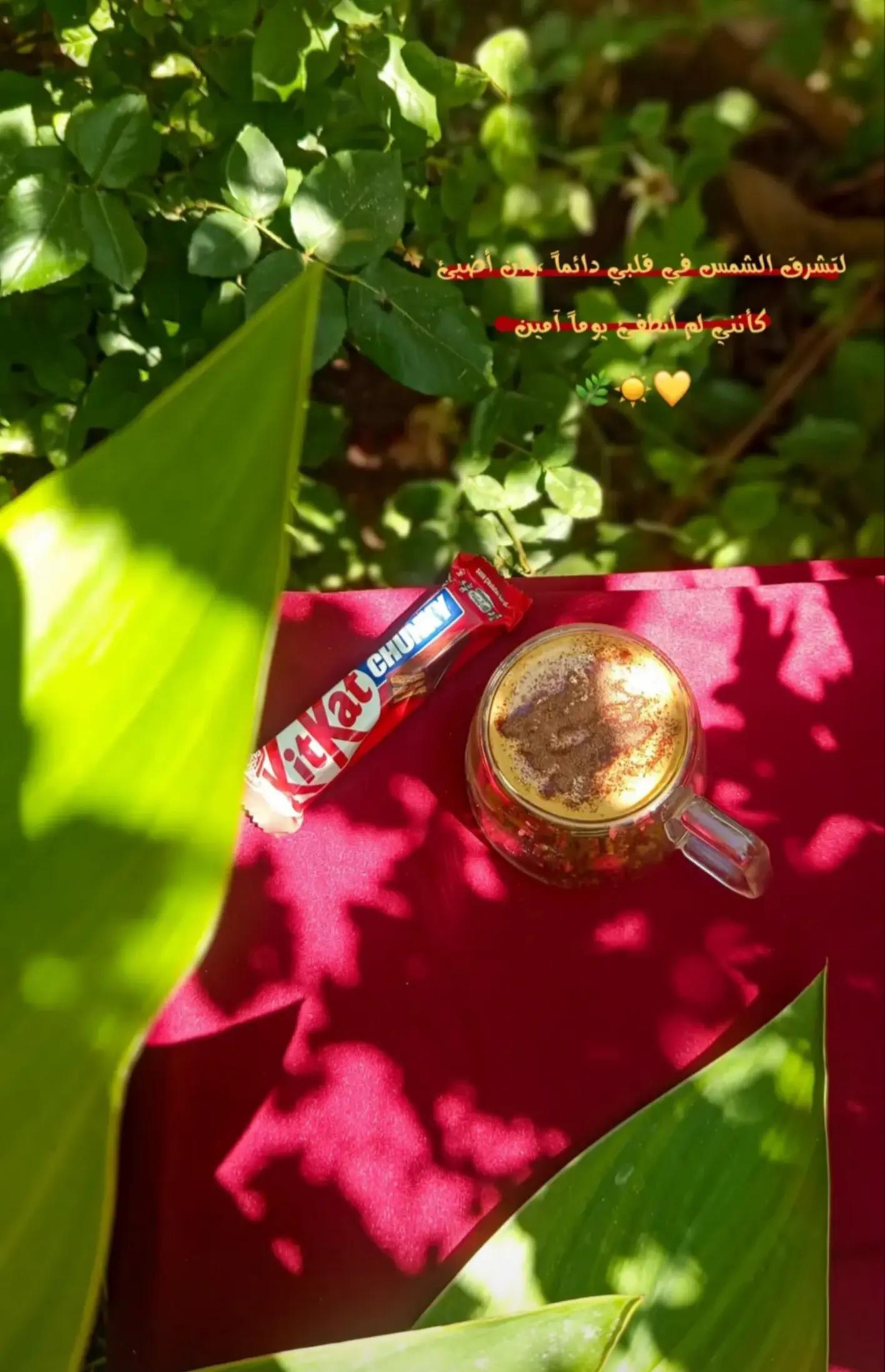 @𓆩𝑹𝑶𝑹𝑶𓆪ࢪﯡࢪﯡ🎀