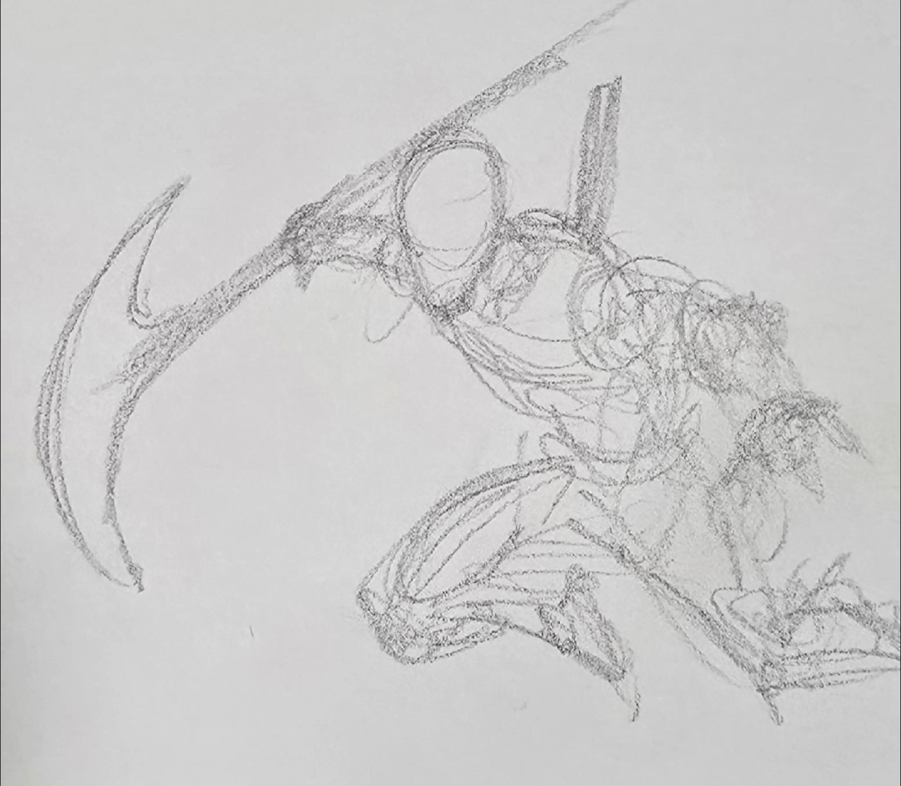 @thesketchytist