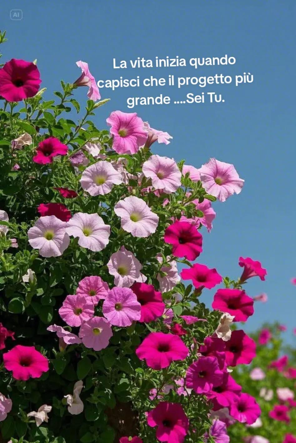 @Maria migliaccio