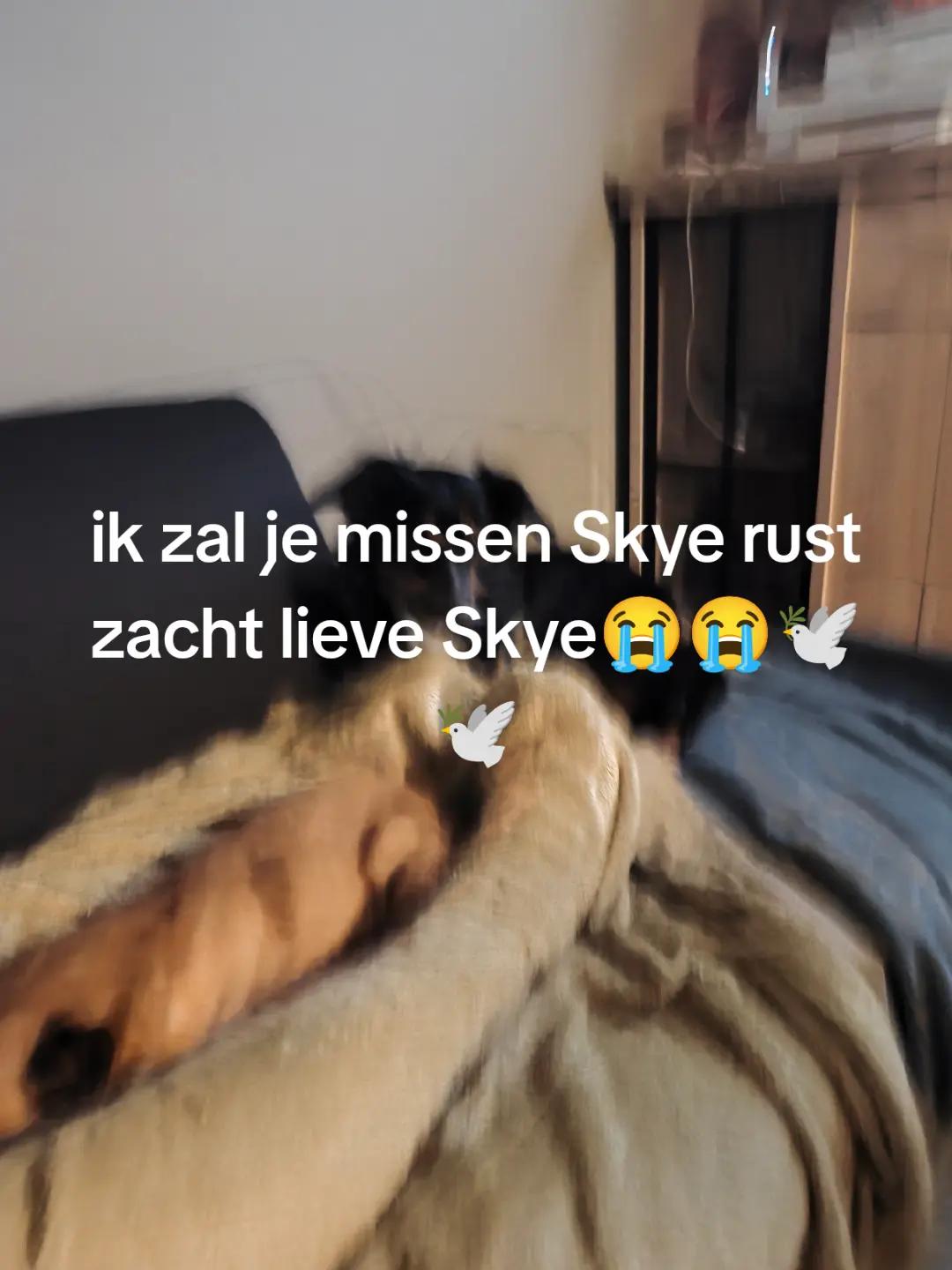 @user63185994438