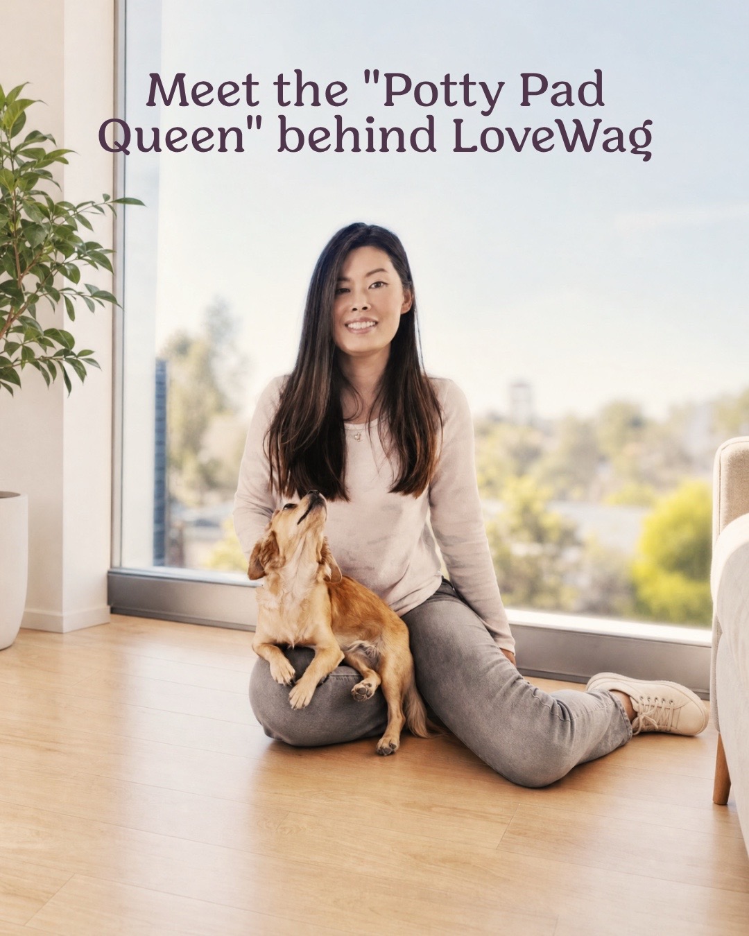 @Lovewag Pets