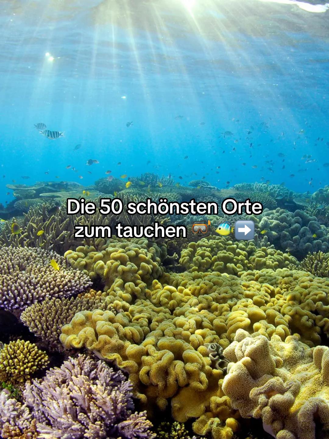 @Wellenblick