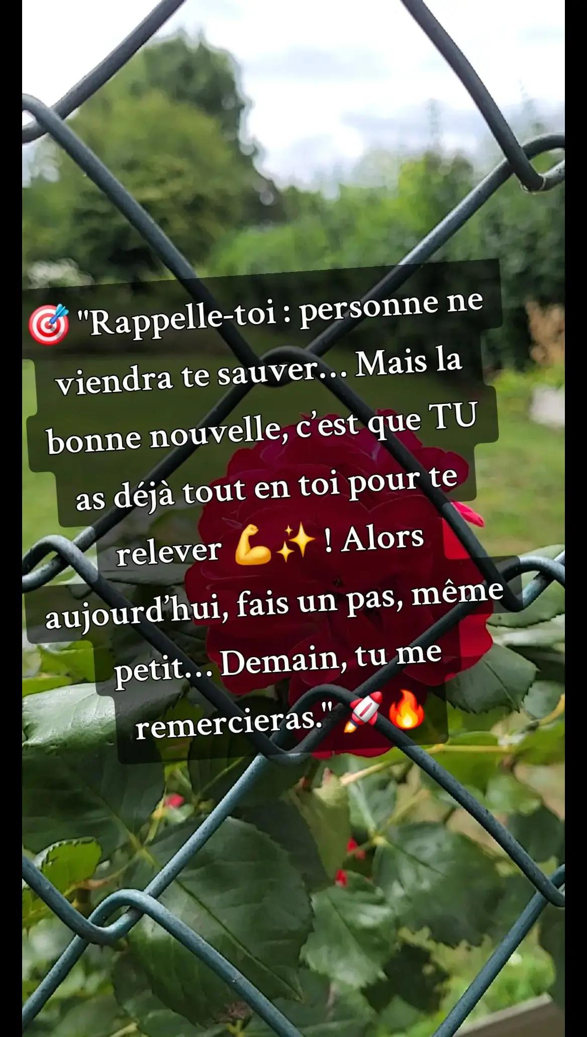 @🐬💚 𝓢𝓪𝓫𝔂 𝓝𝓸𝓾𝓻𝓻𝔂 ✨🌺