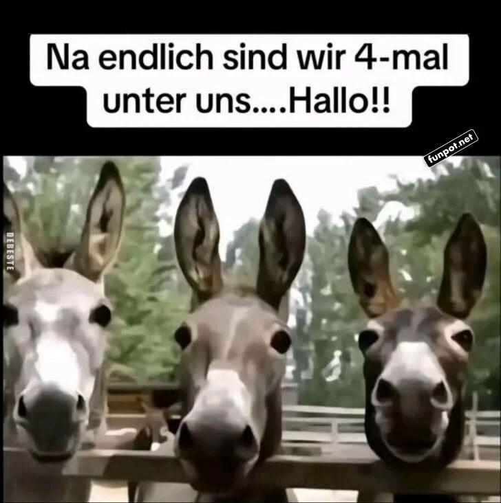 @😜HaveFun 2.🇩🇪 Team 1701 🛸