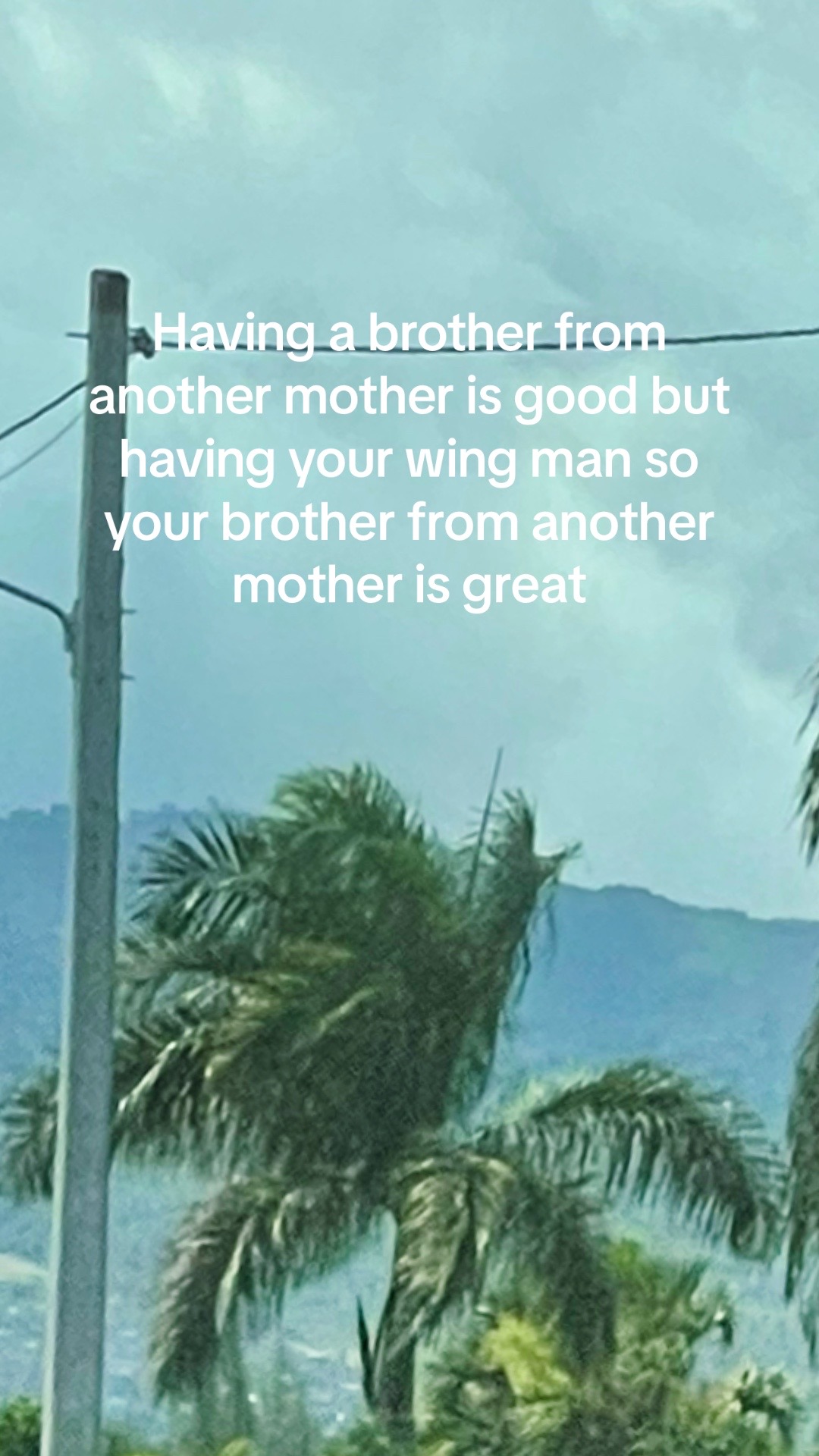 @He\him