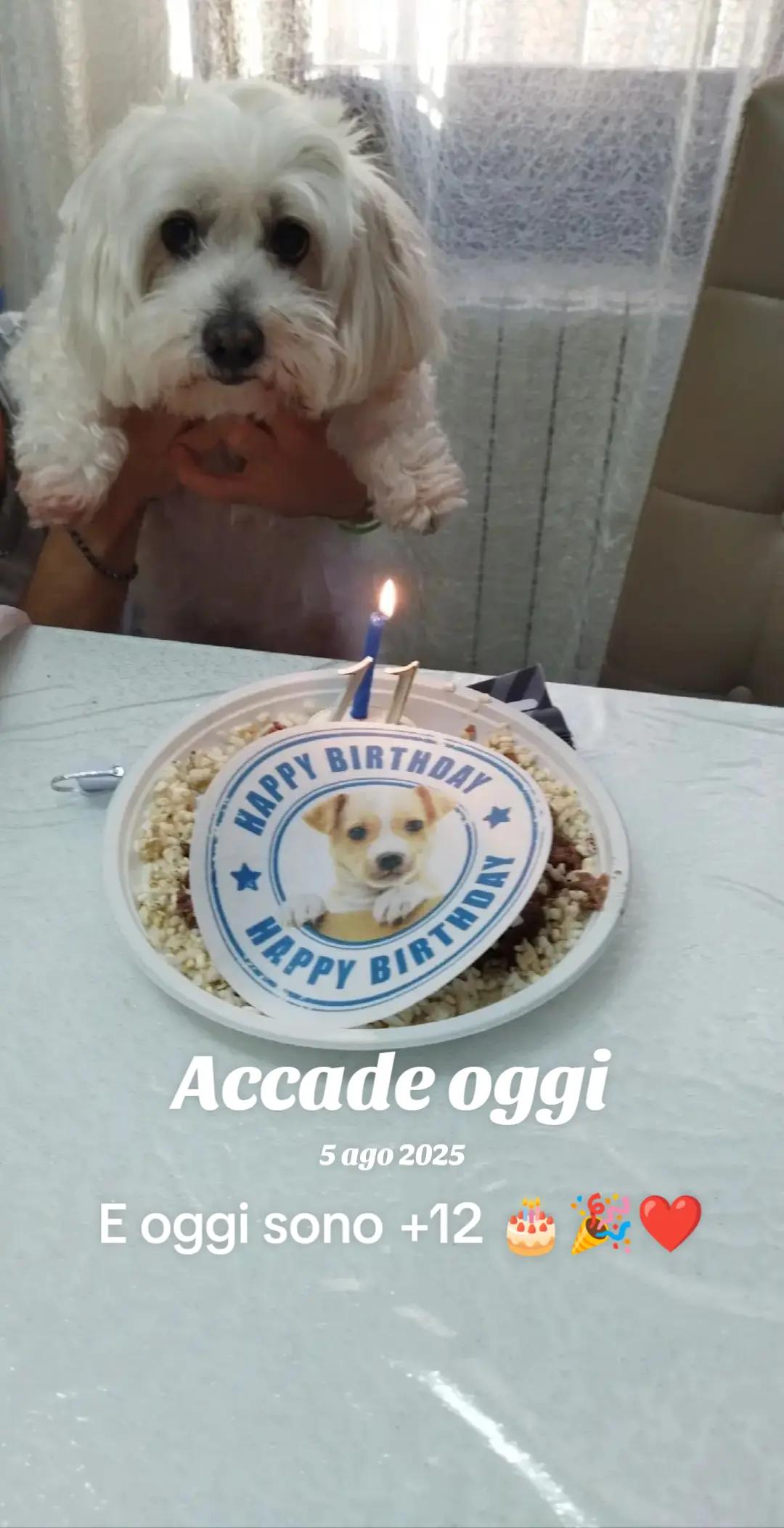 @danielagabutti2