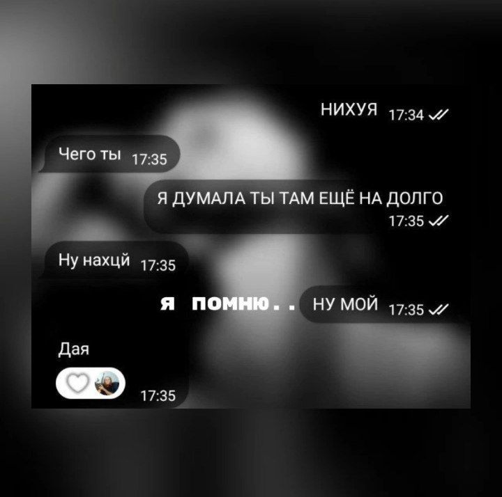 @No_Name@