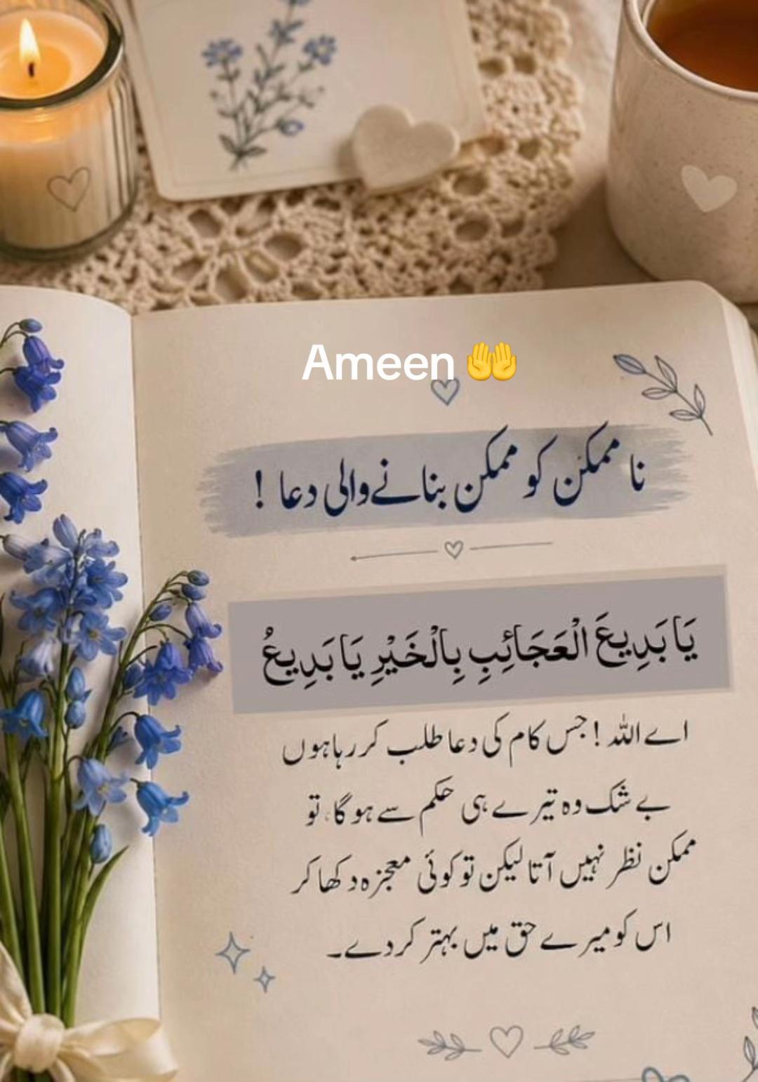 @Shabana@ Chaudhry