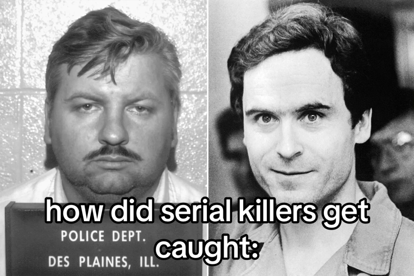@Mila | True Crime Content