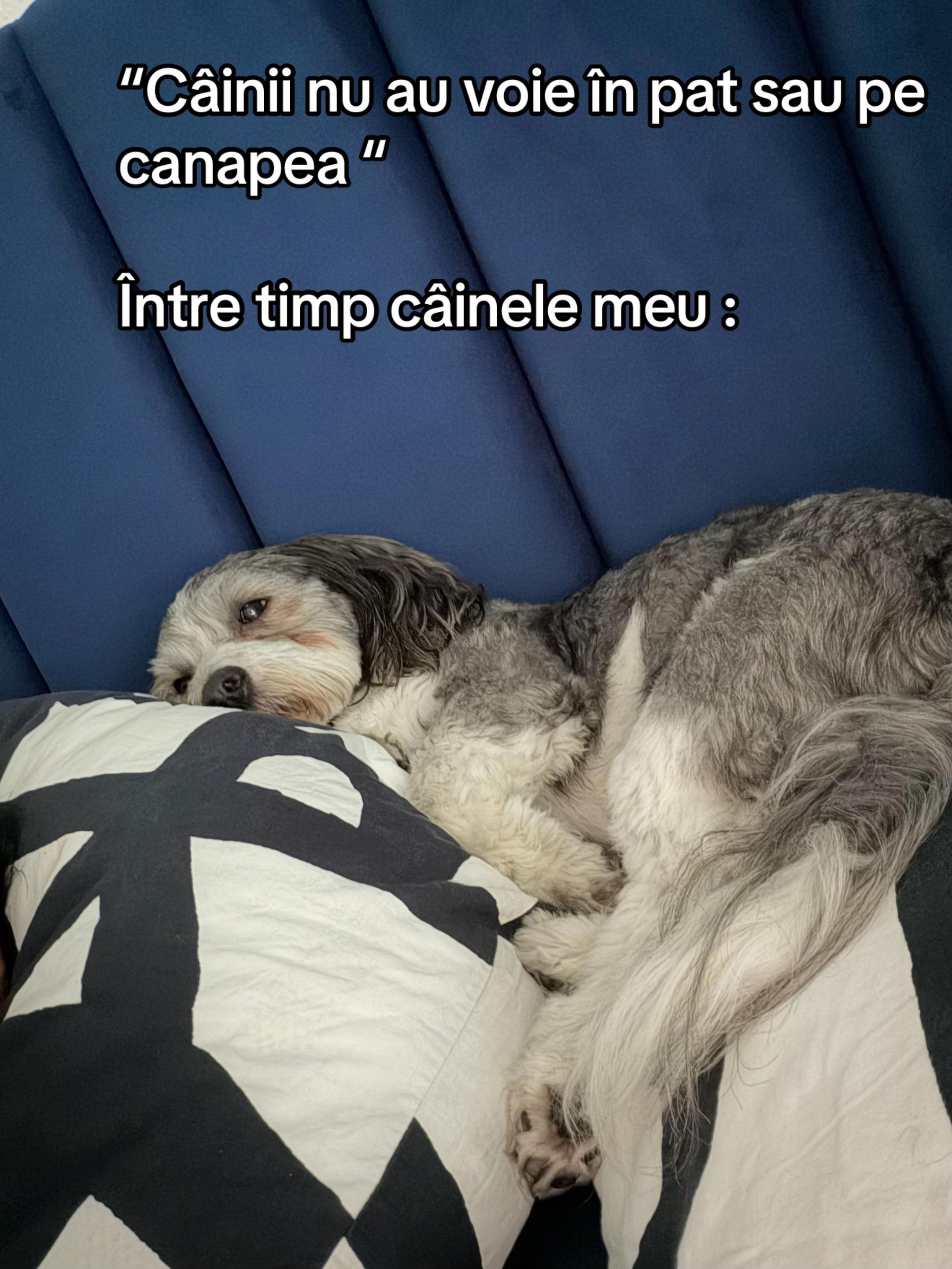 @Cătălina