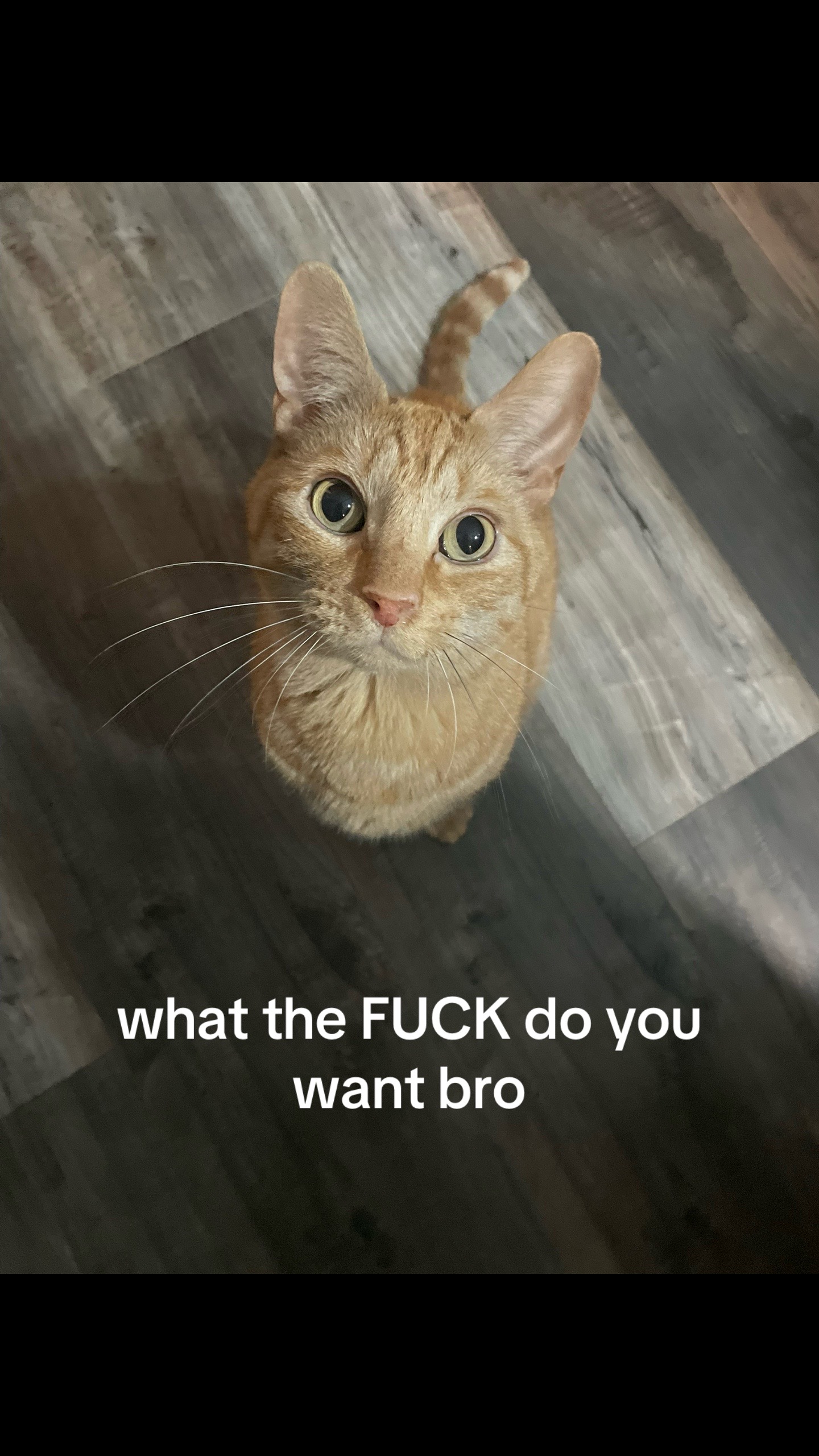 @cuck