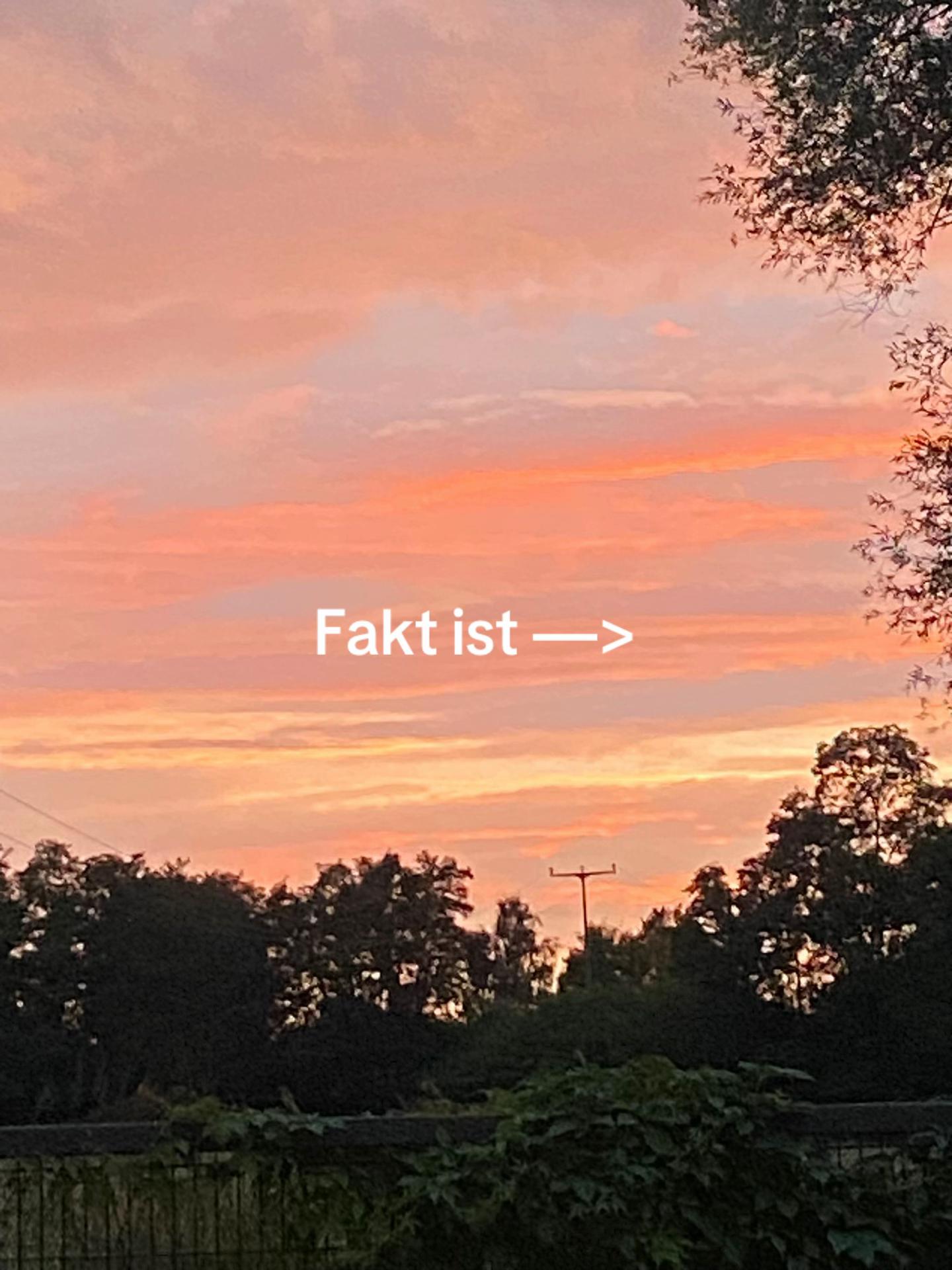 @Maja 🇩🇪💫
