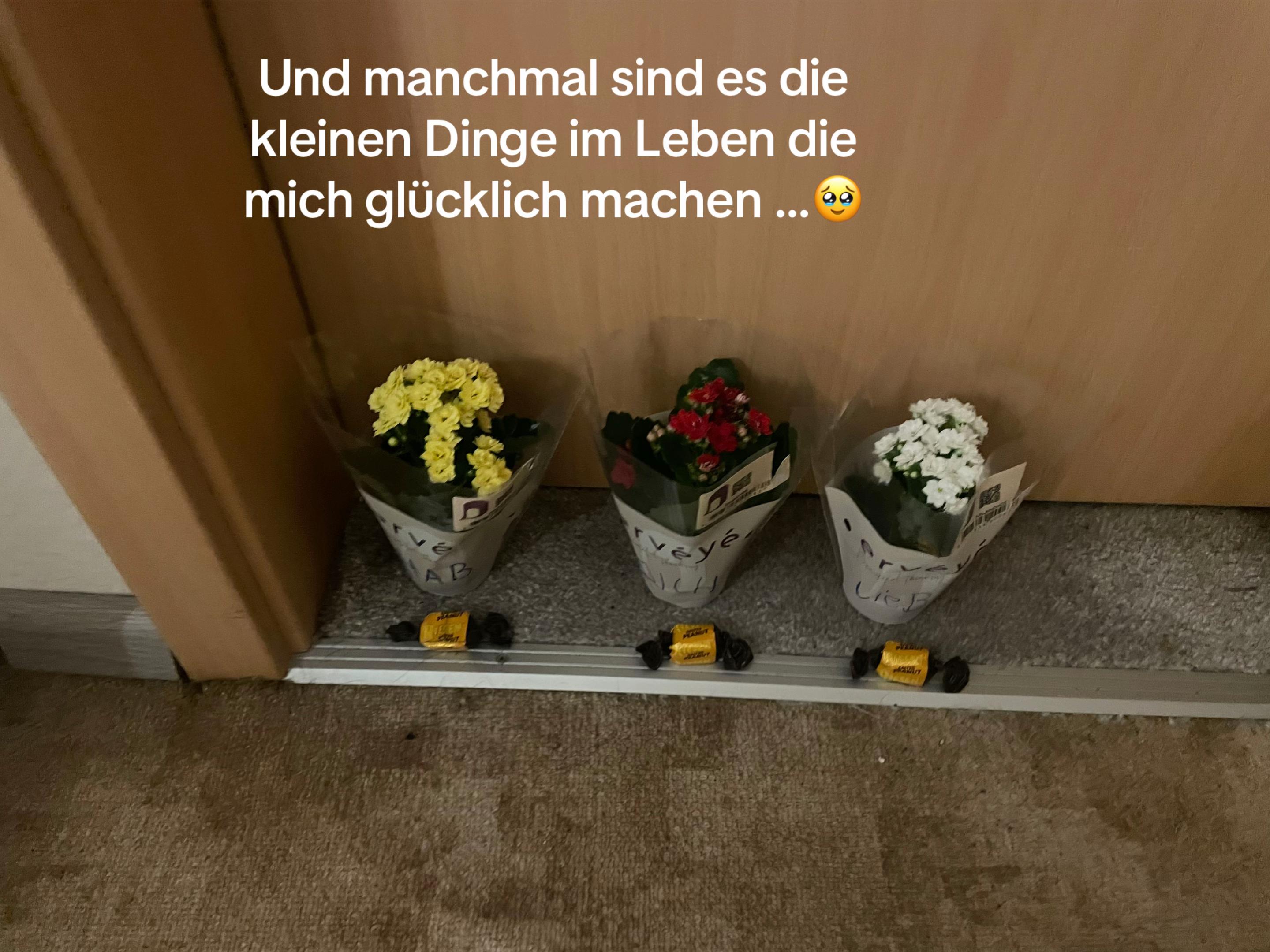 @🥀✨️