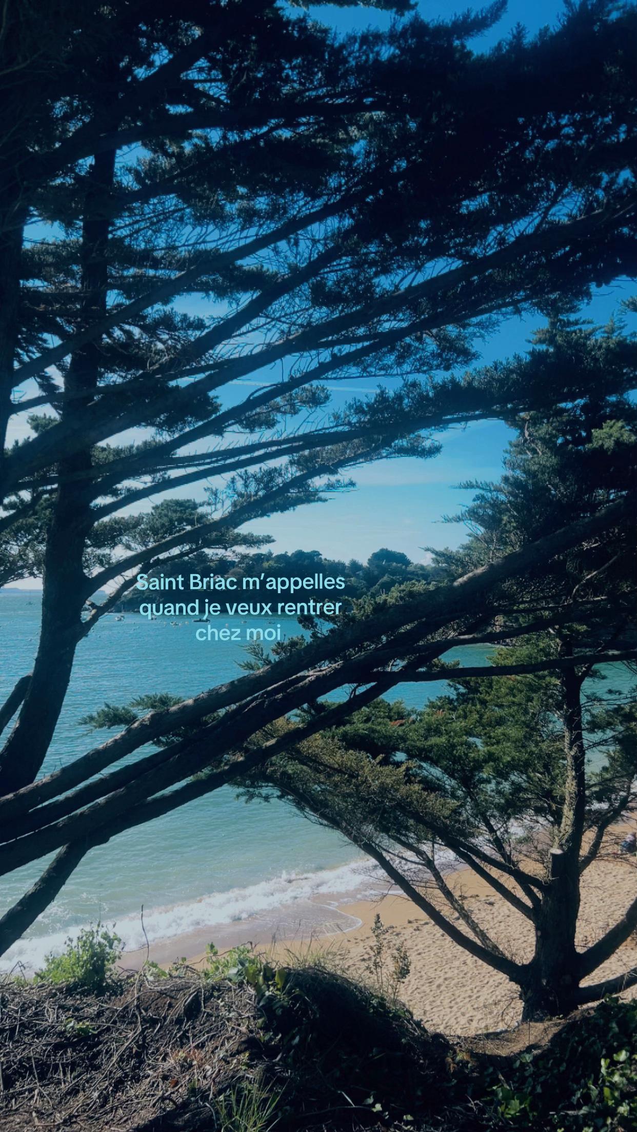 @𝒞𝒶𝓅𝓊𝒸𝒾𝓃ℯ.𝒿𝓁ℯ