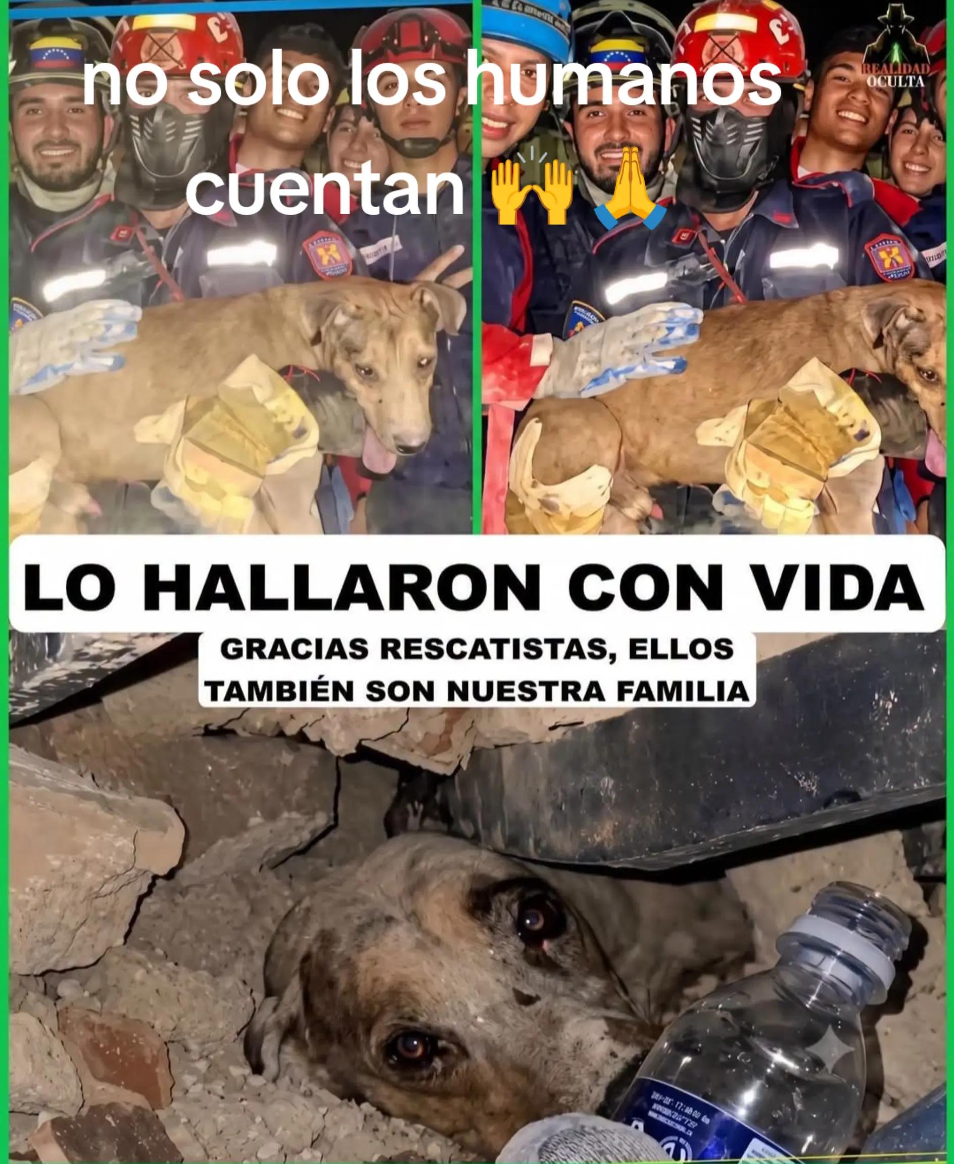 @🇩🇴 de❤️zorifabian🙌🦅