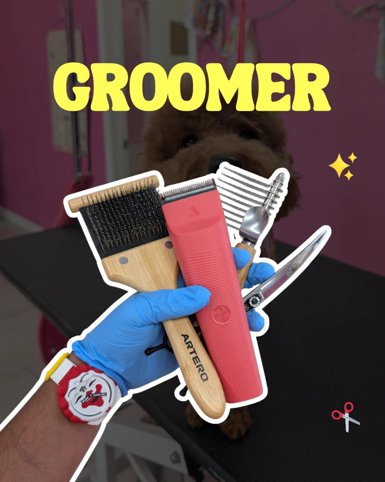 @bubulabapetgrooming
