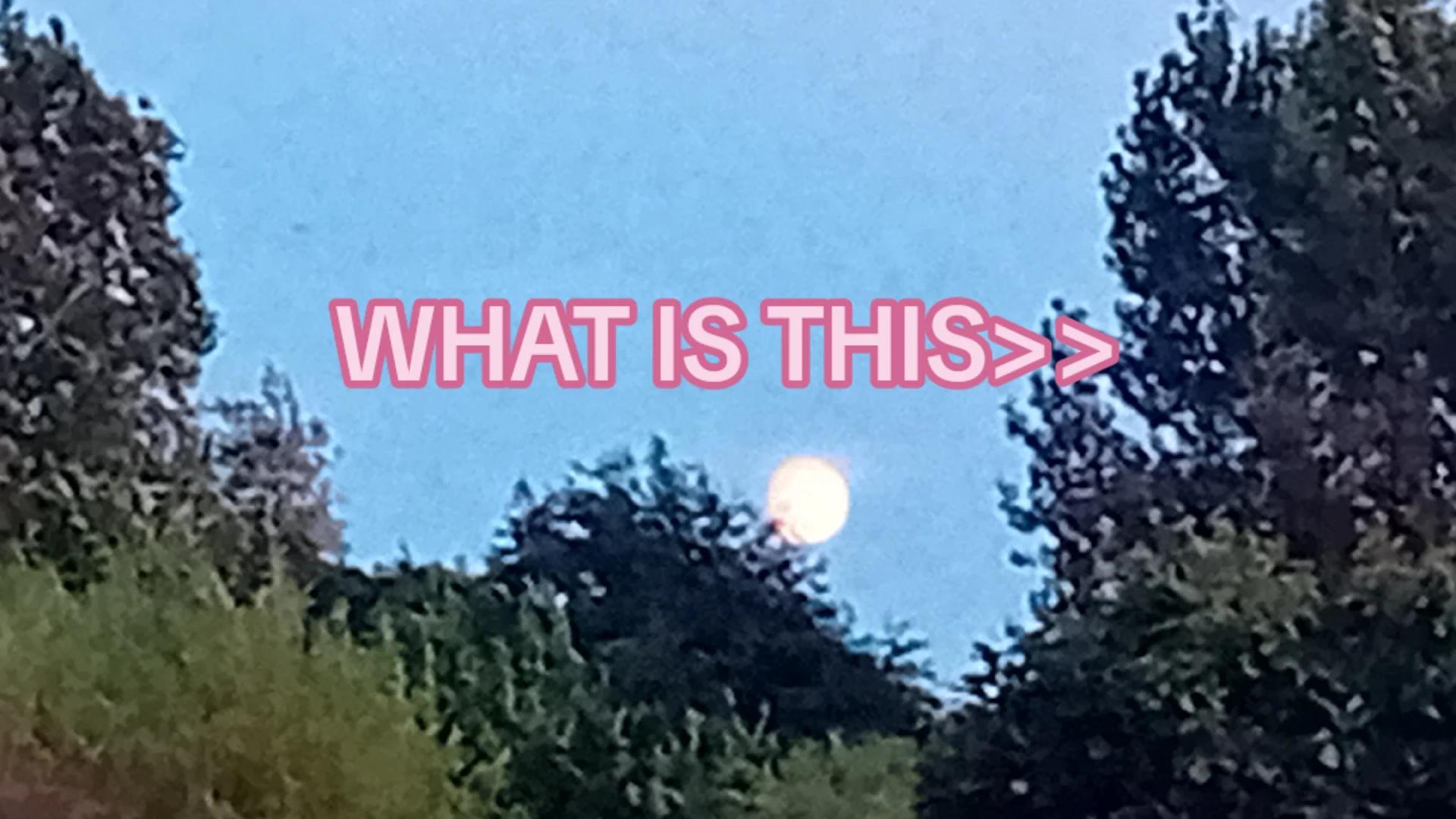 @𝑭𝒆𝒓𝒏