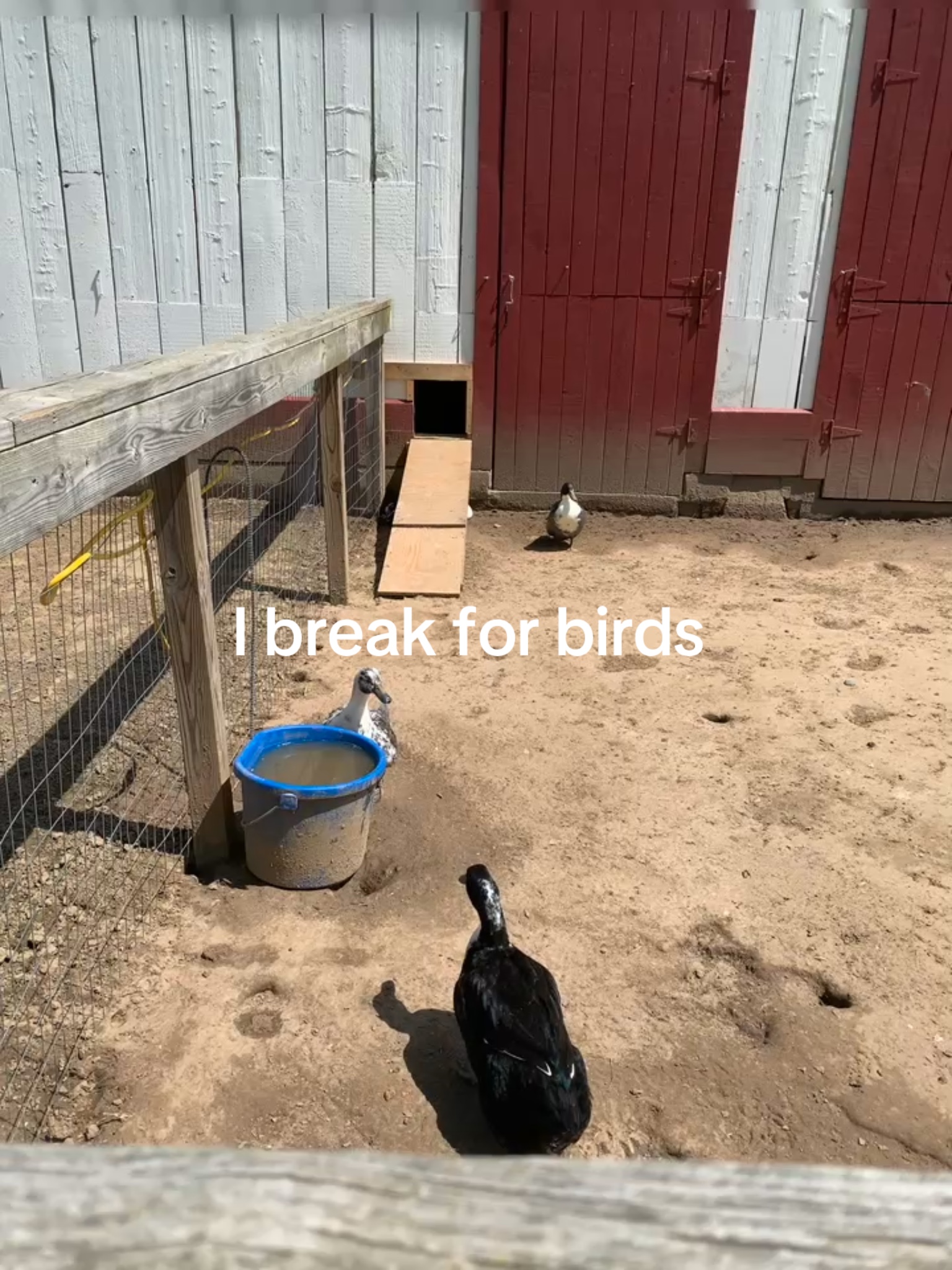 @𝐢𝐬𝐲𝐬 𝐢𝐧𝐲𝐤𝐨