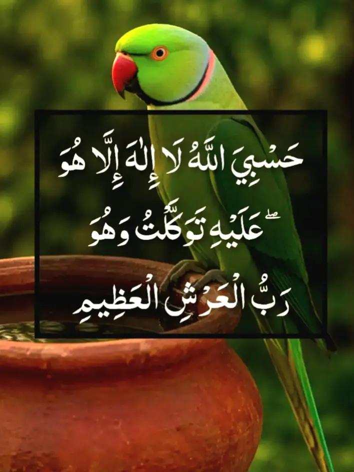 @islamicvideotiktok341