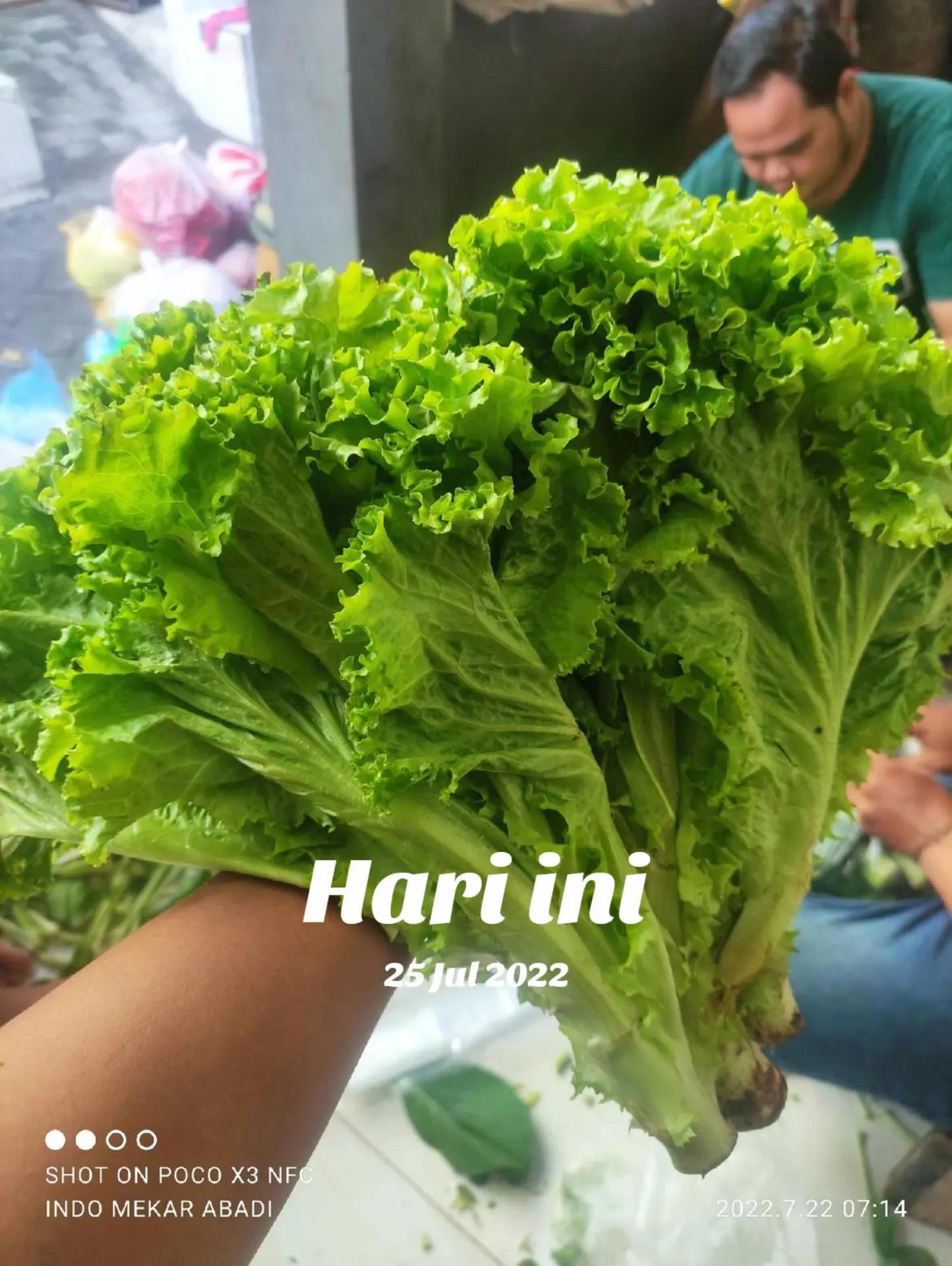 @supplier sayur dan buah sby