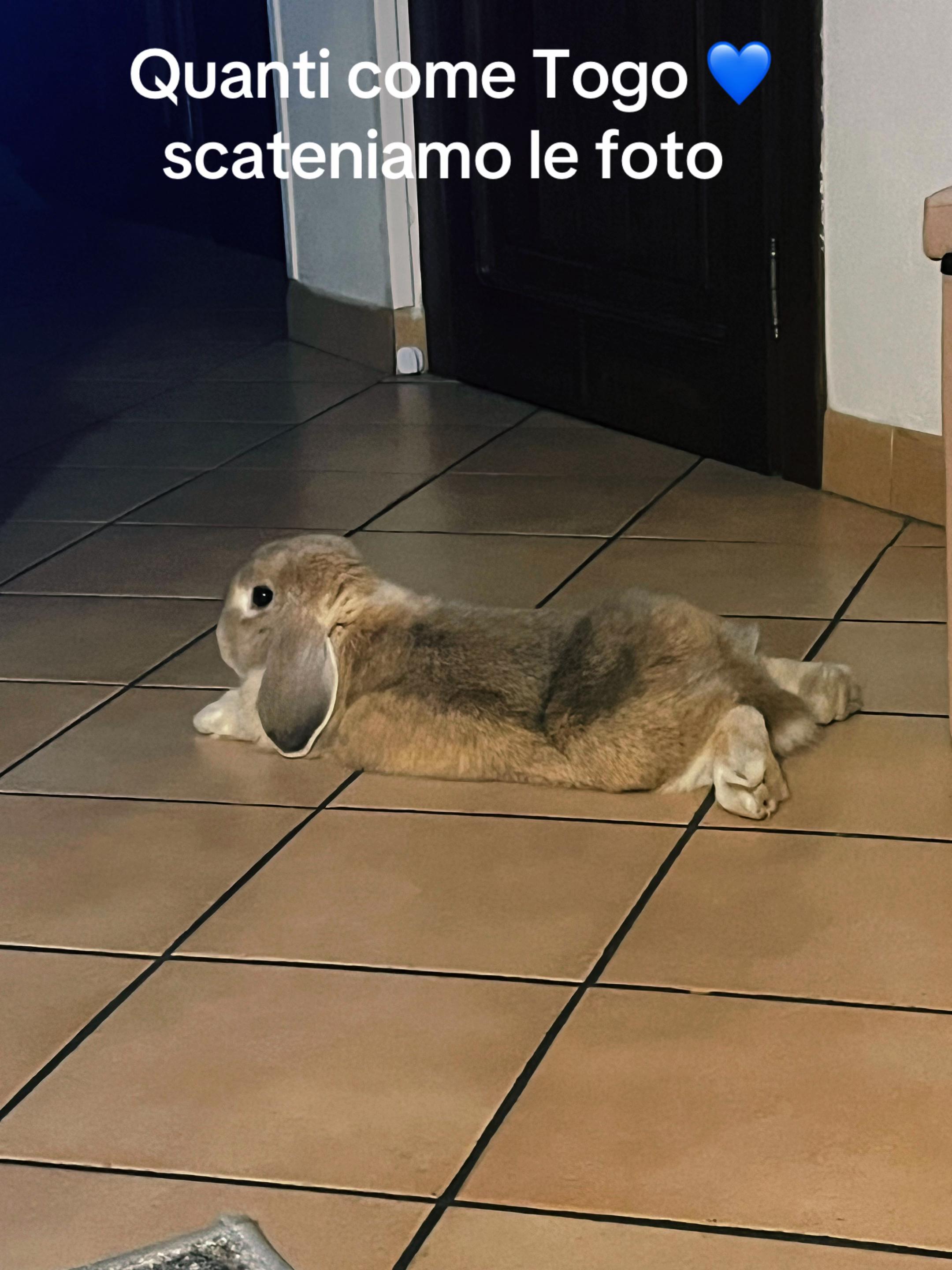 @Cinzia