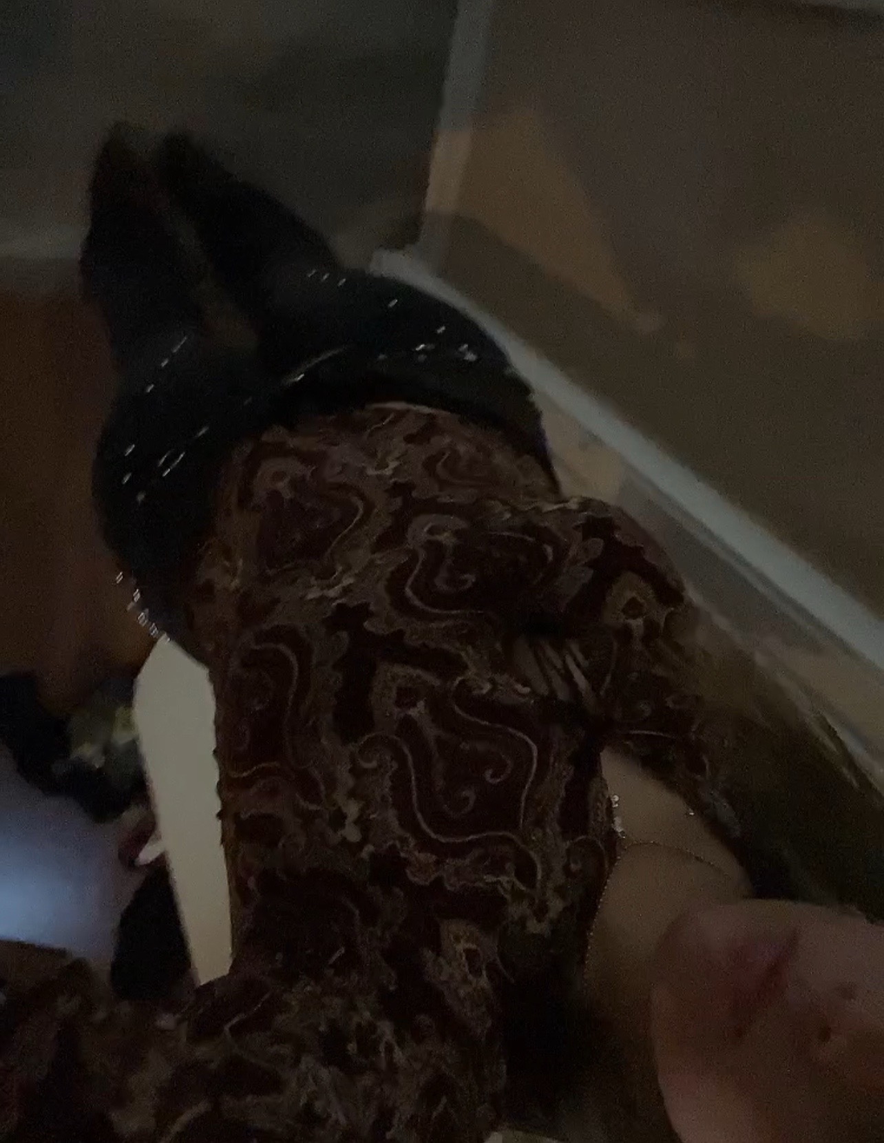 @Kimboyo