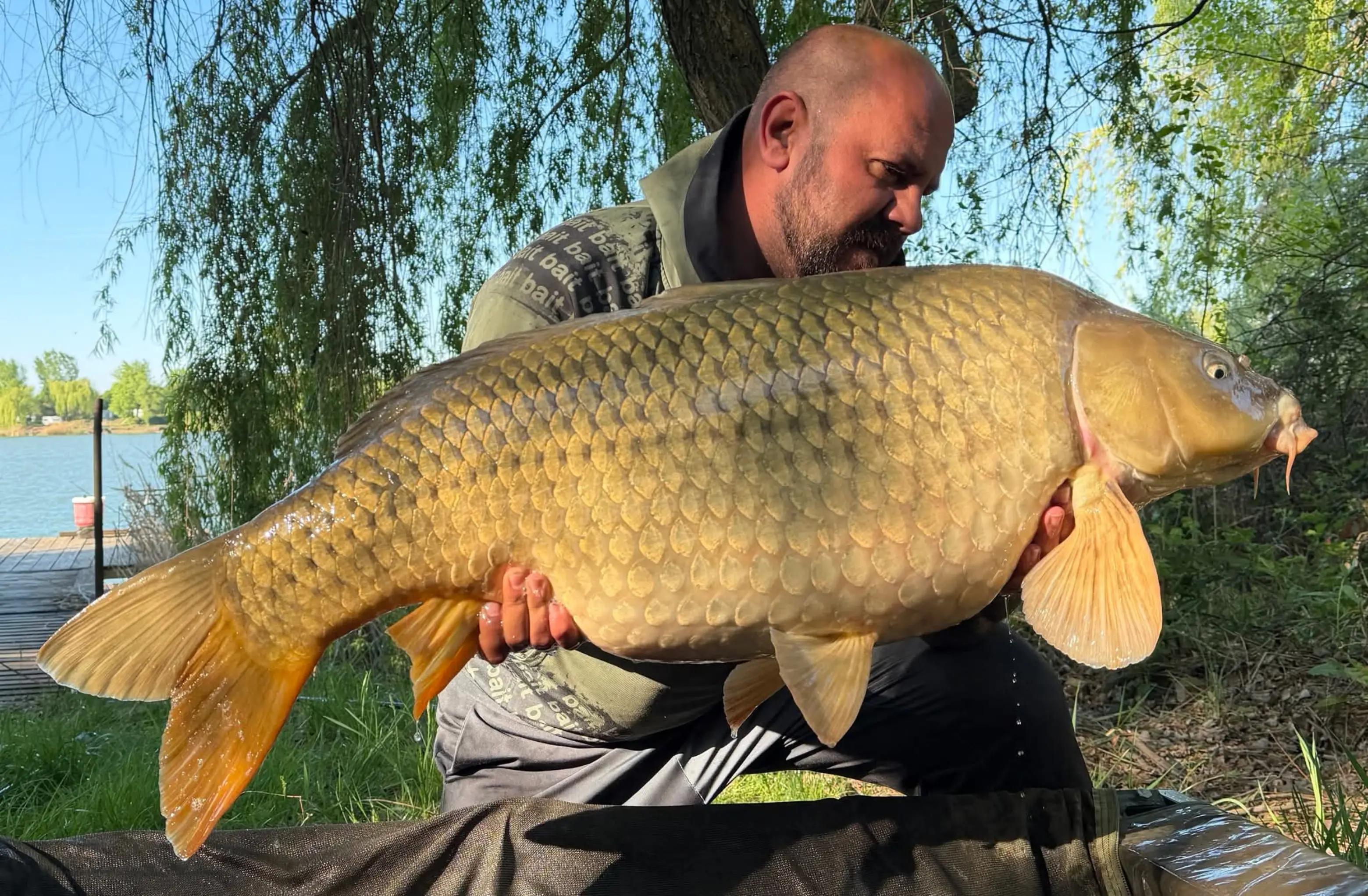 @Bait Bait Germany