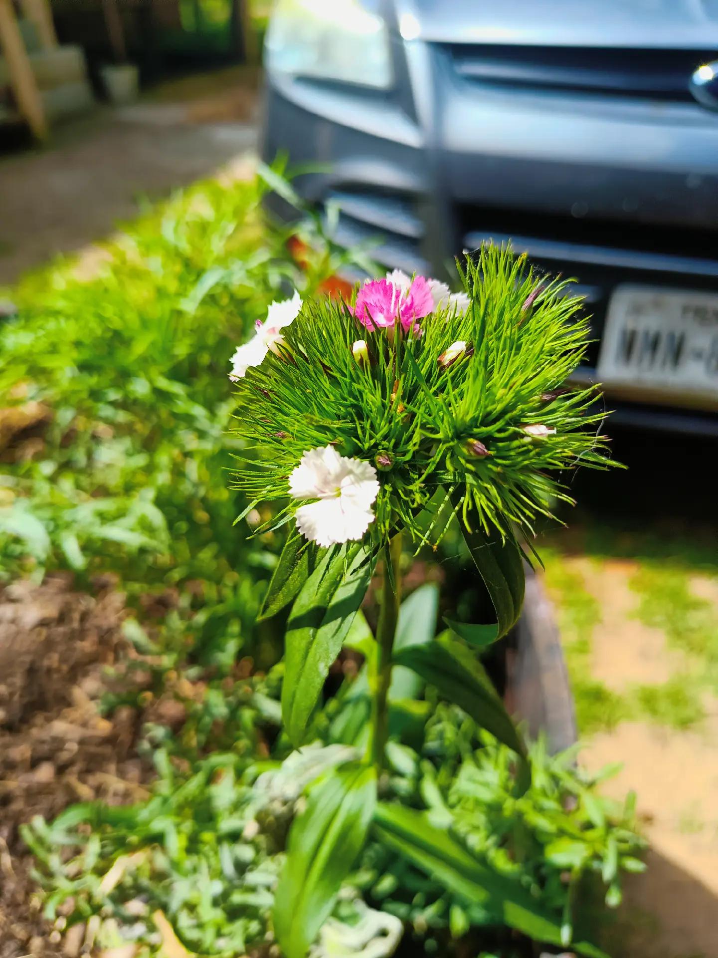 @Zabi 🤠