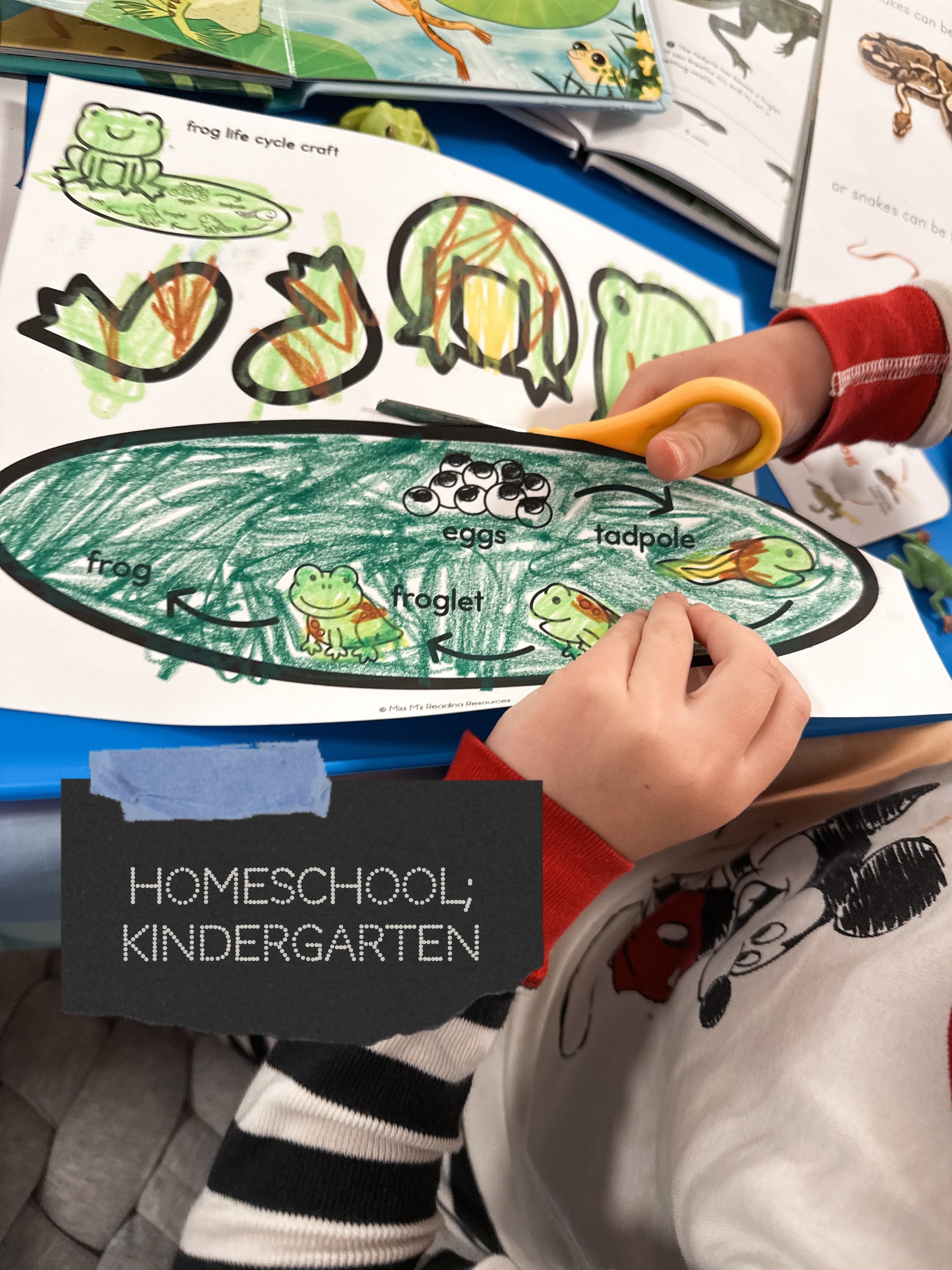 @Ashley / homeschooling mama