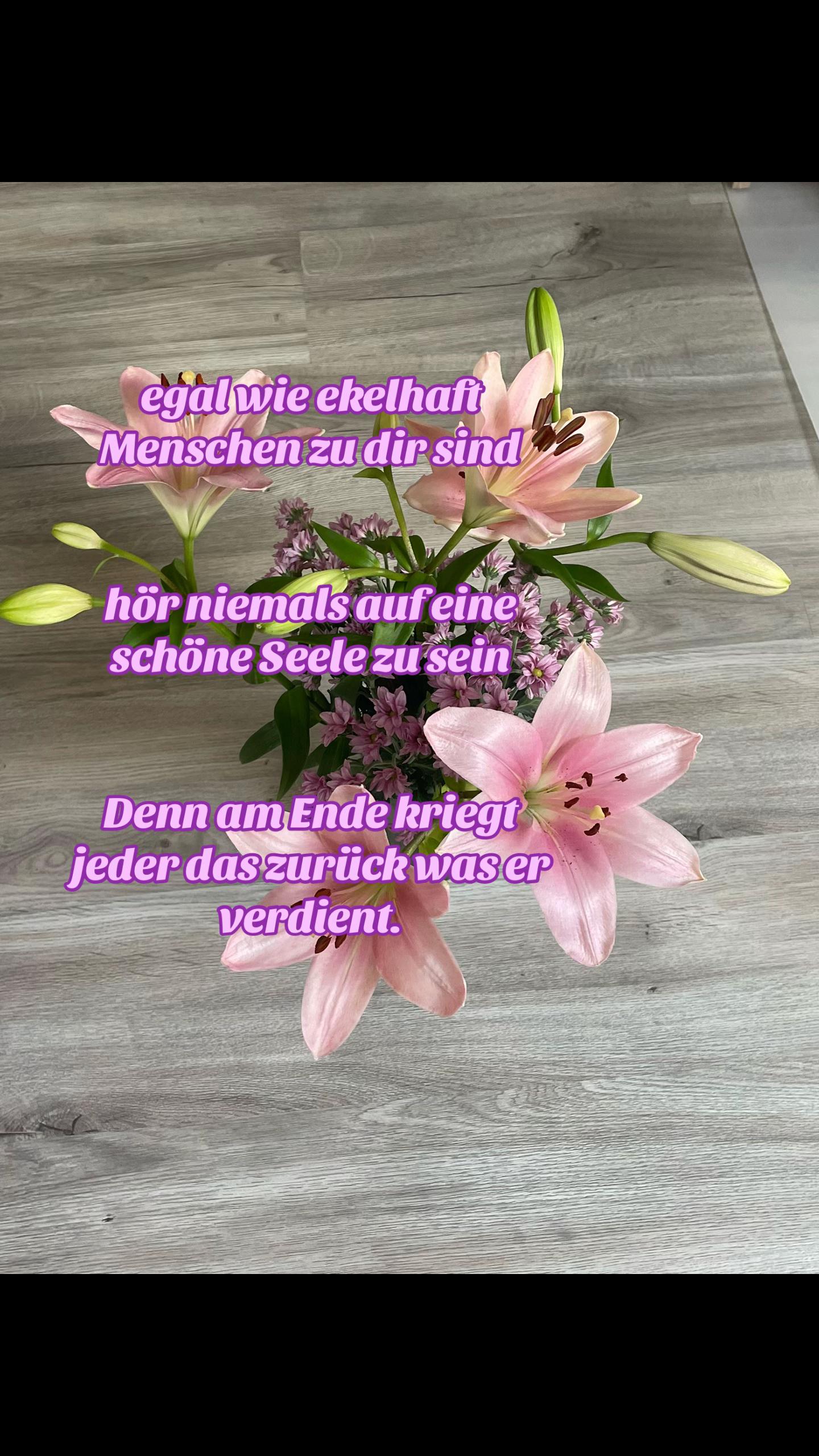 @Lilly🫦☺️