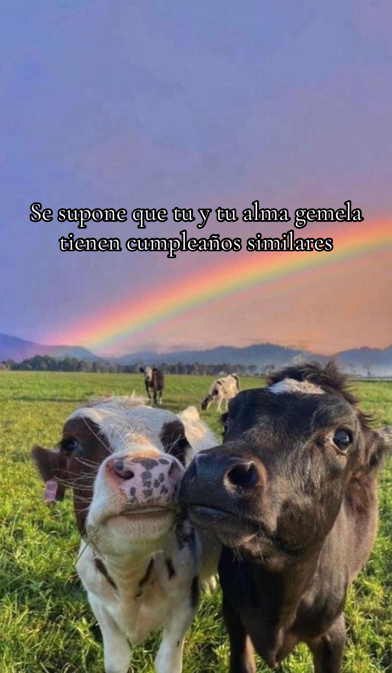 @Jennifer Ontiveros