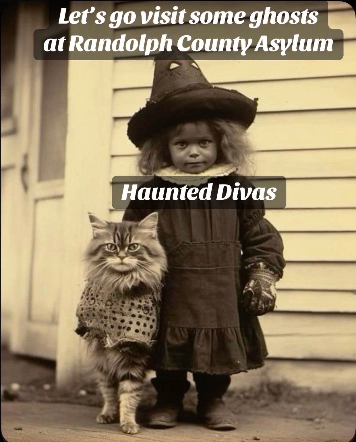 @haunted.divas