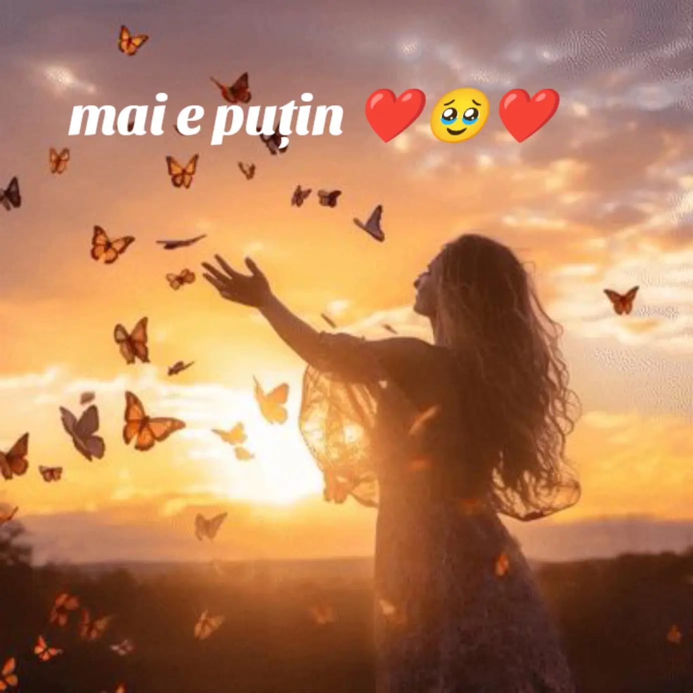 @โญฤ๐ญศ๐ฒ๐ซ๐ฆ๐ ฤ๐๐