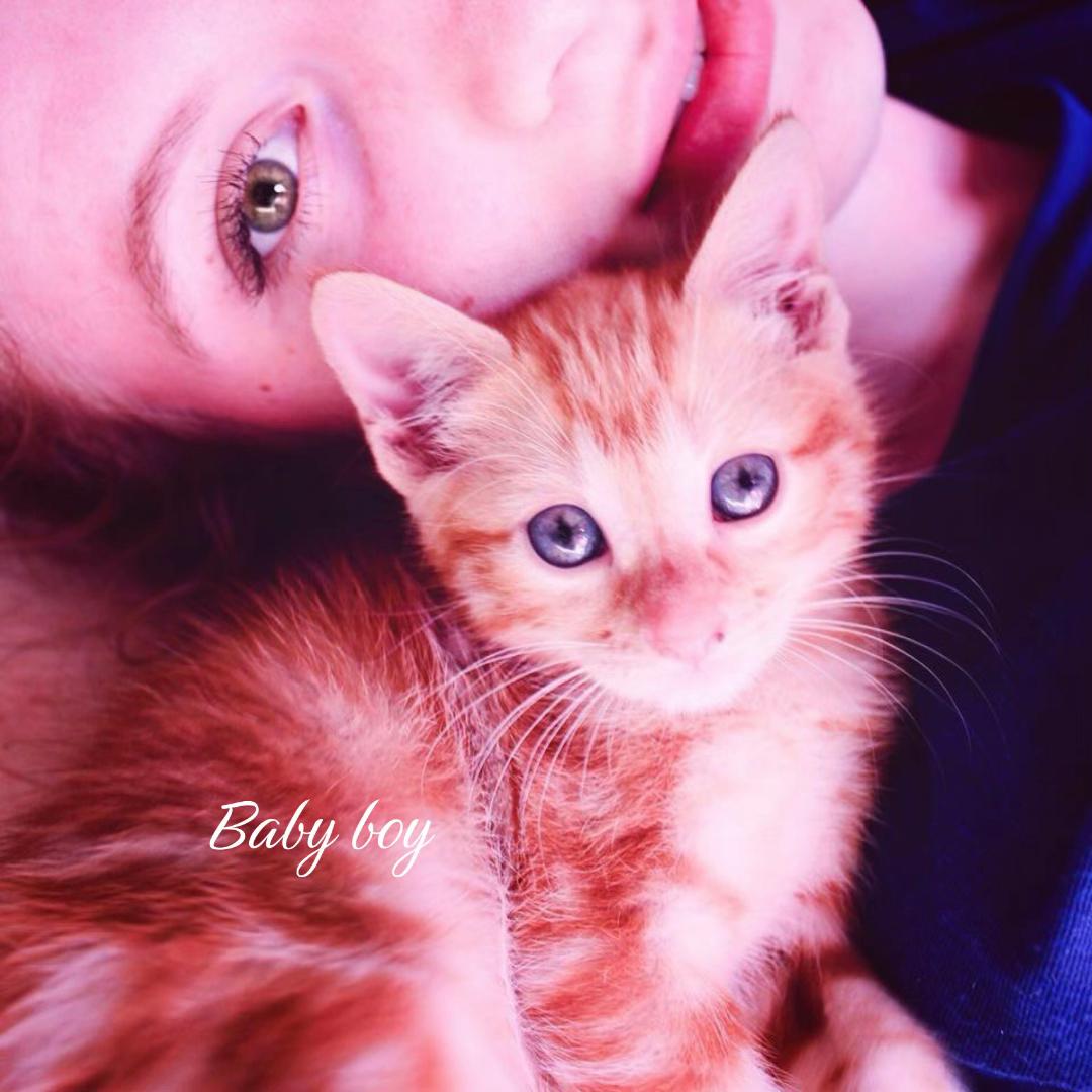 @Lunabialy | booktok
