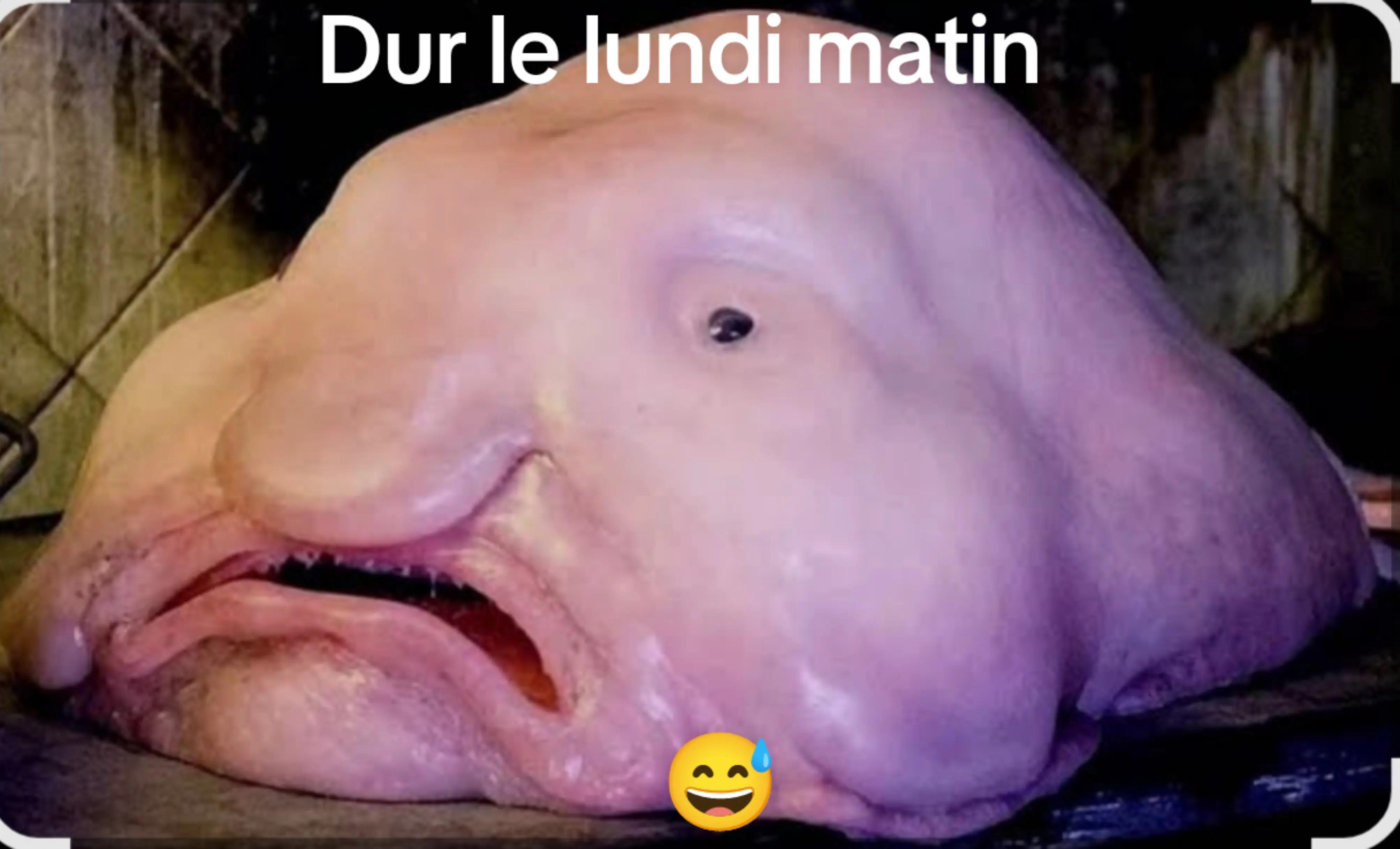 @Olivier 72