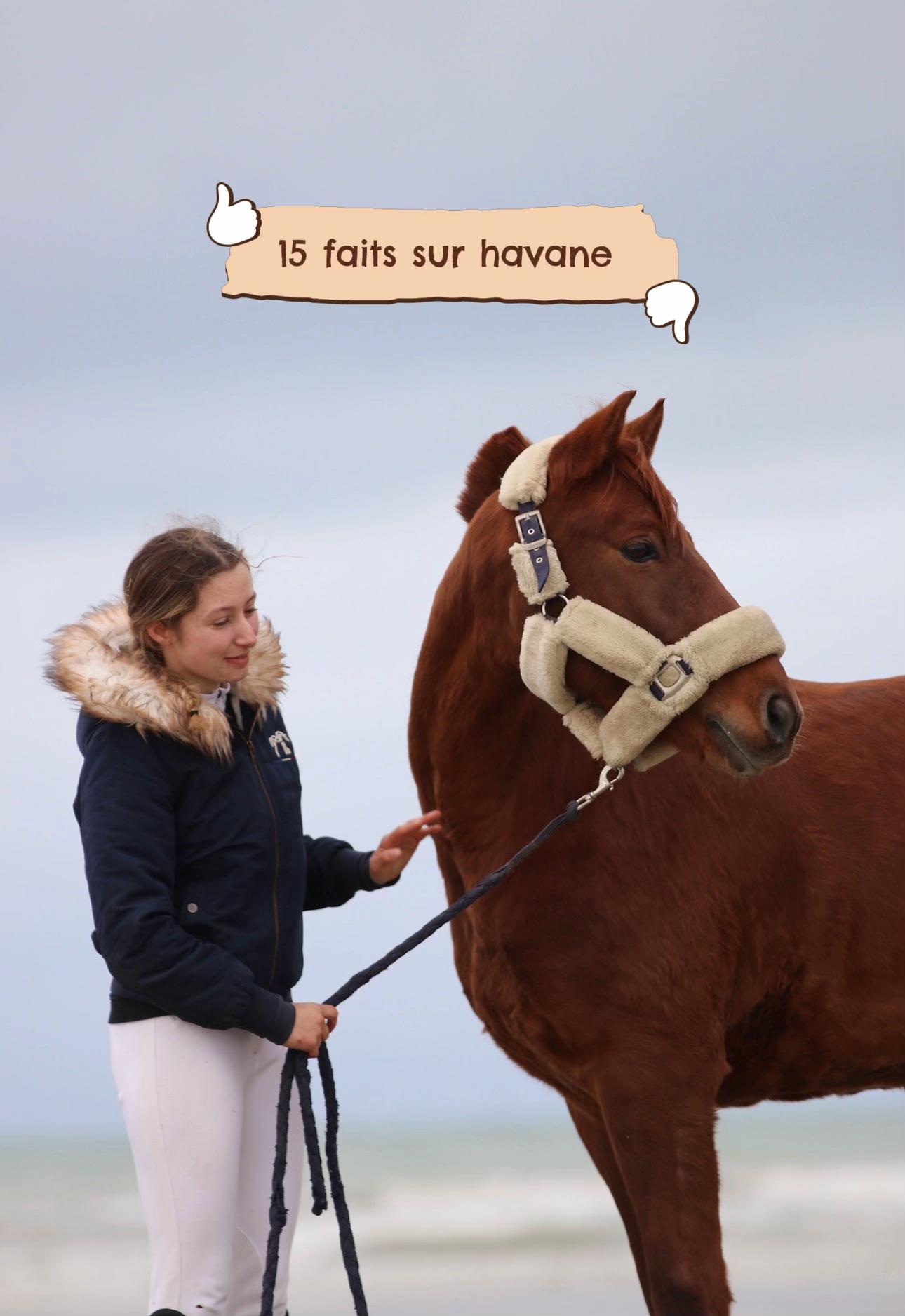 @havane.des.islots
