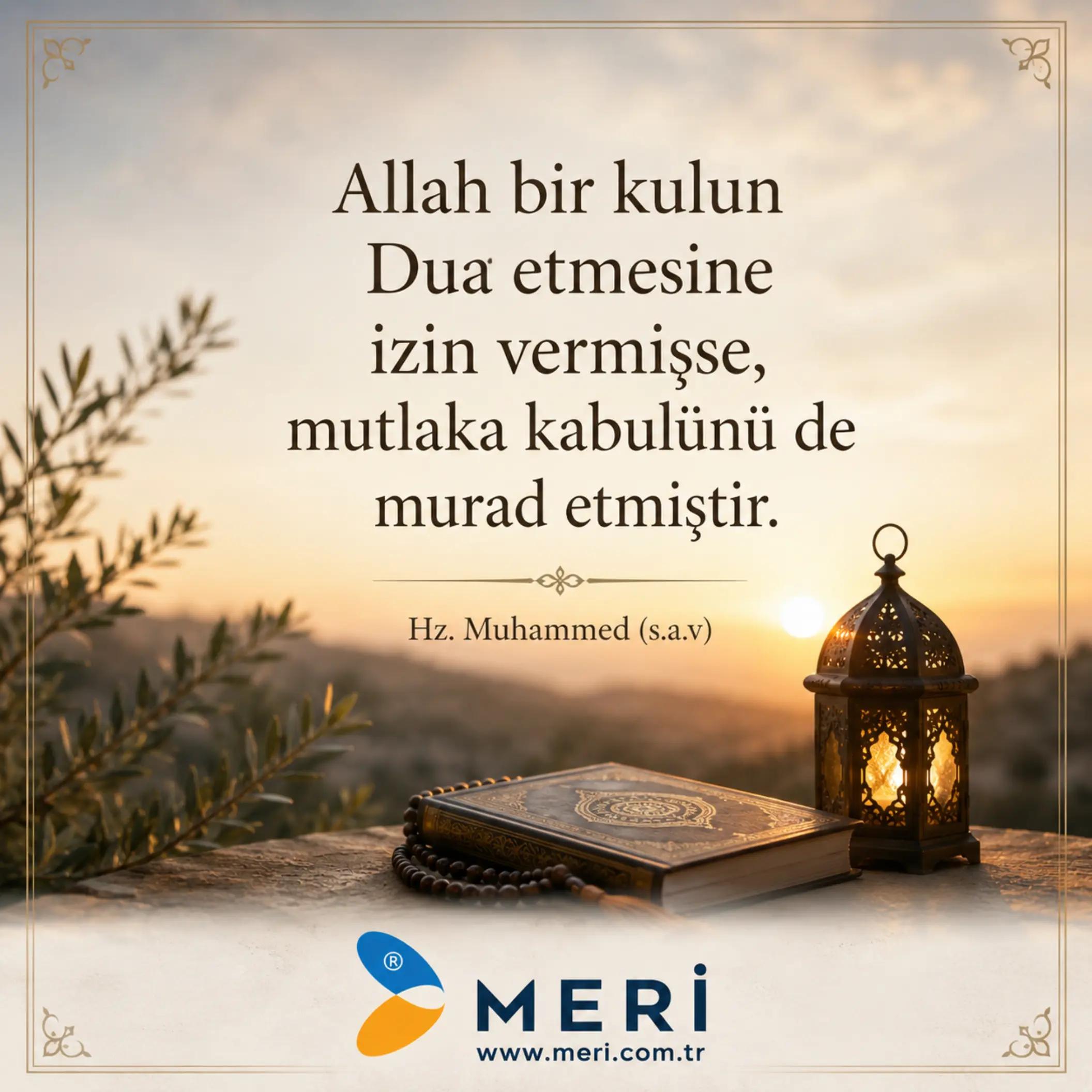 @Meri Sineklik İsmail Kurt