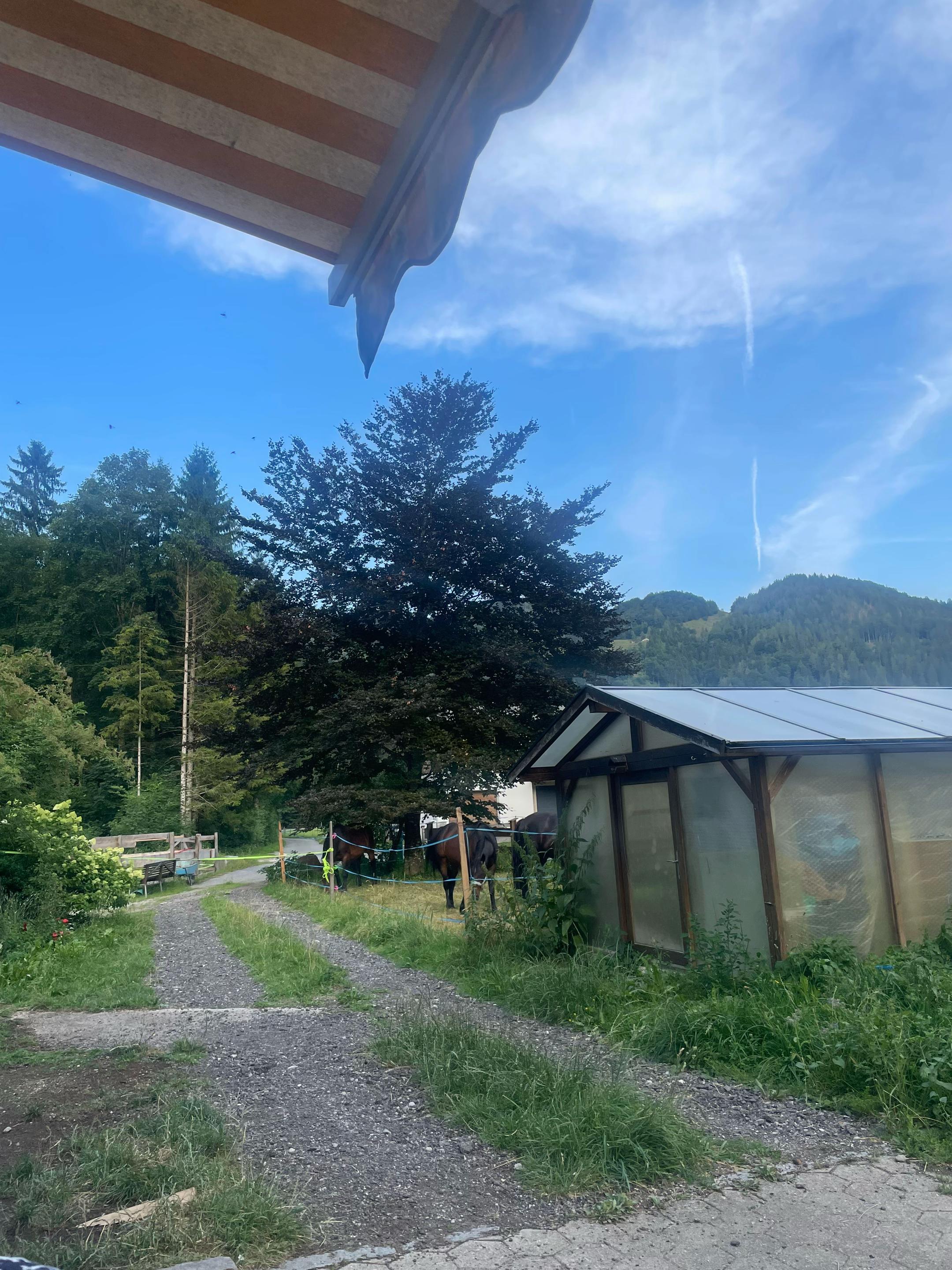 @Mountain Hill Ranch 🇦🇹