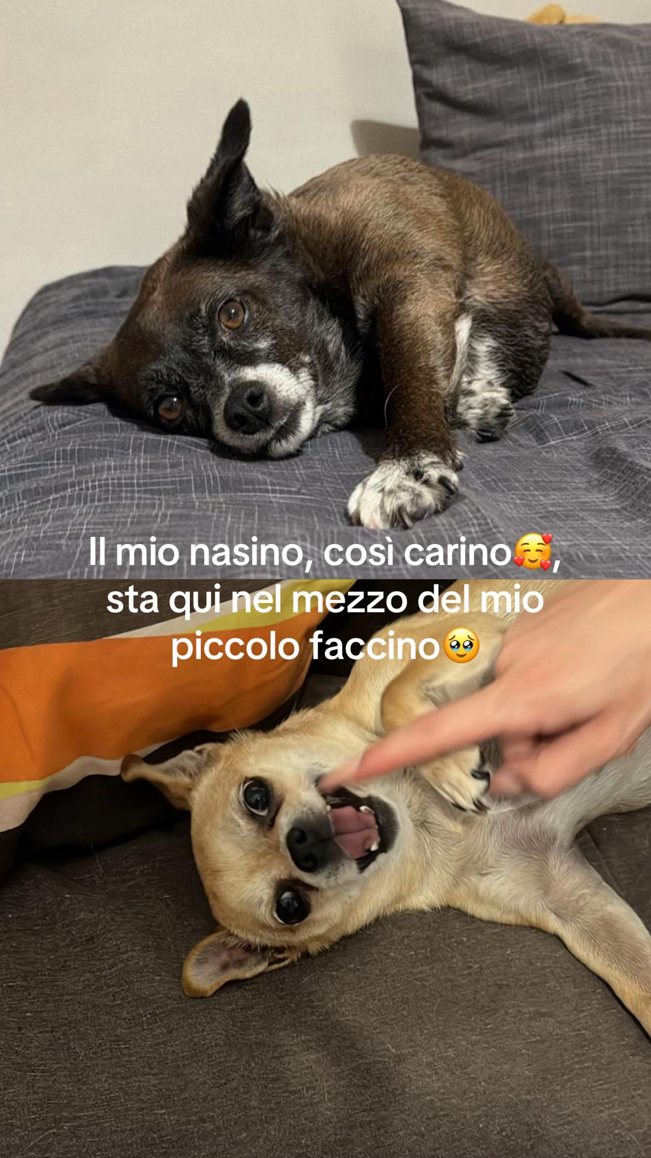 @Martina Fontana