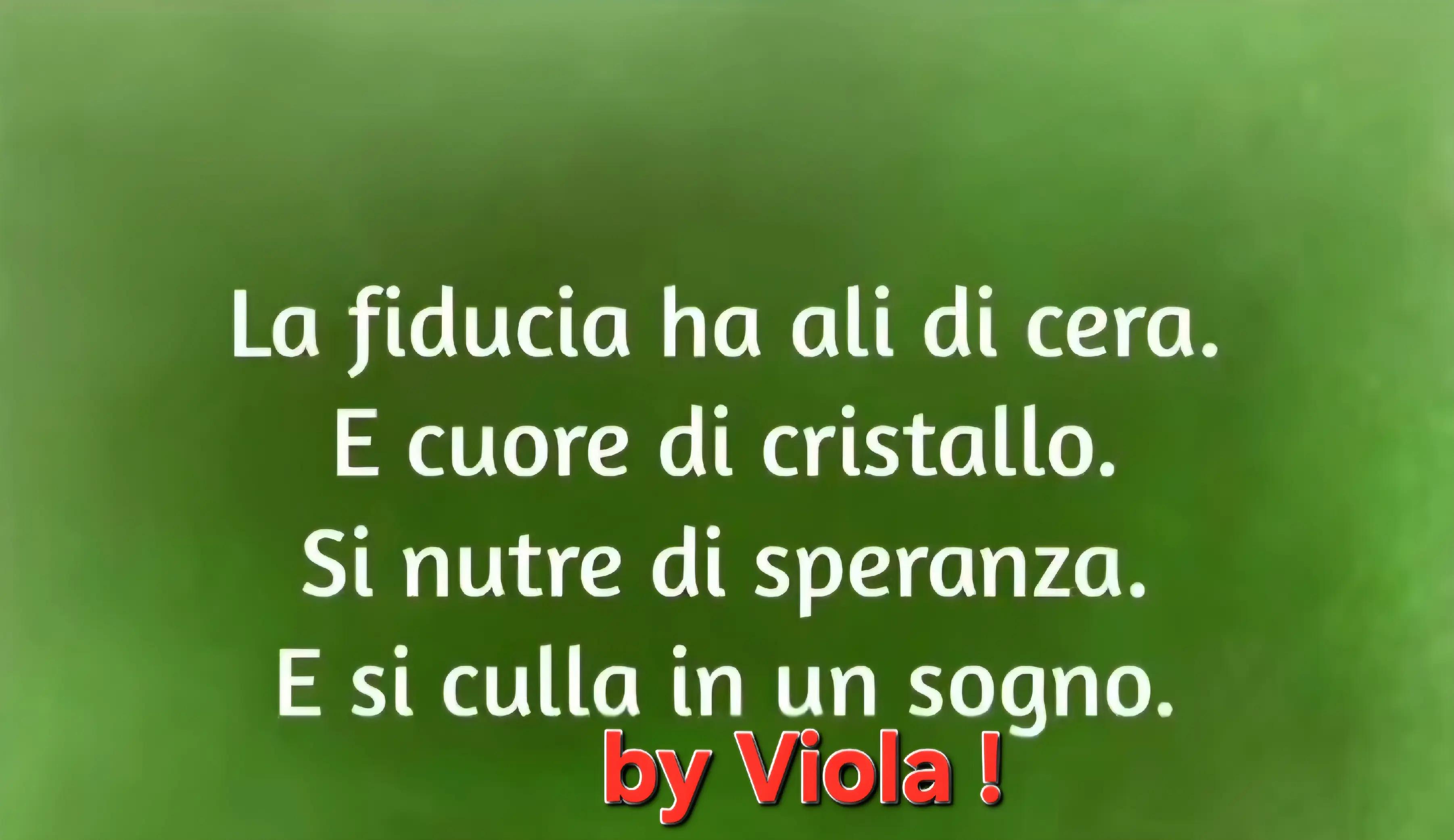 @Viola 8080