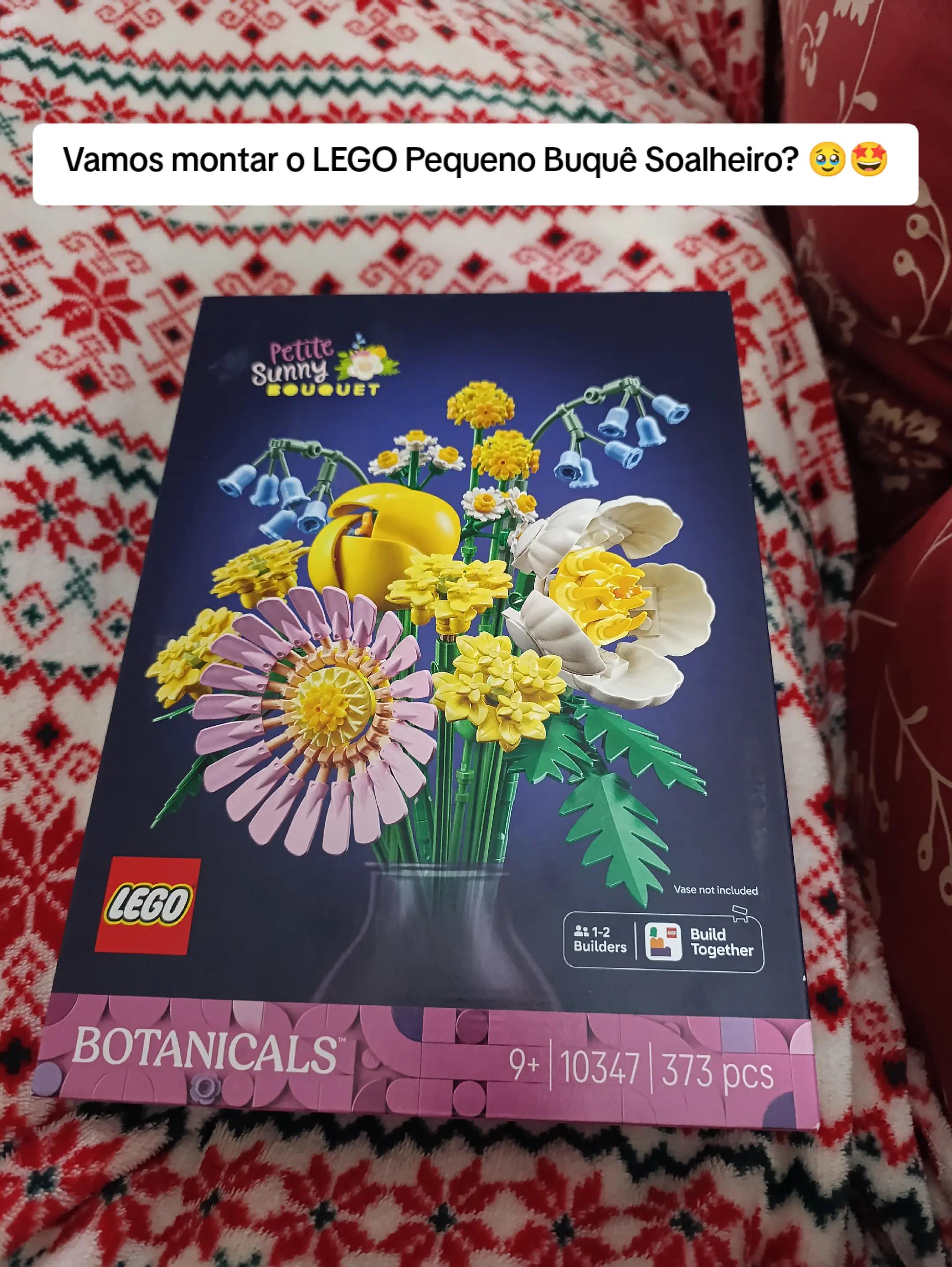 @Joana Ruivo