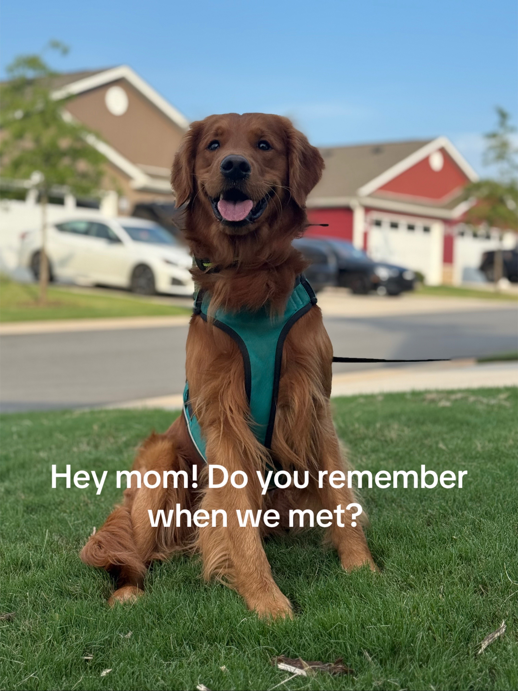@Olivia