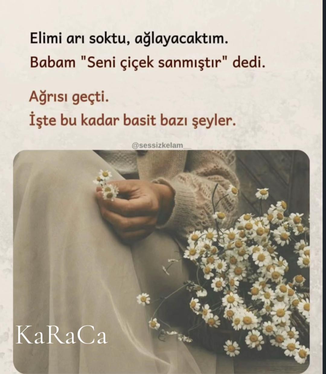 @KaRaCa