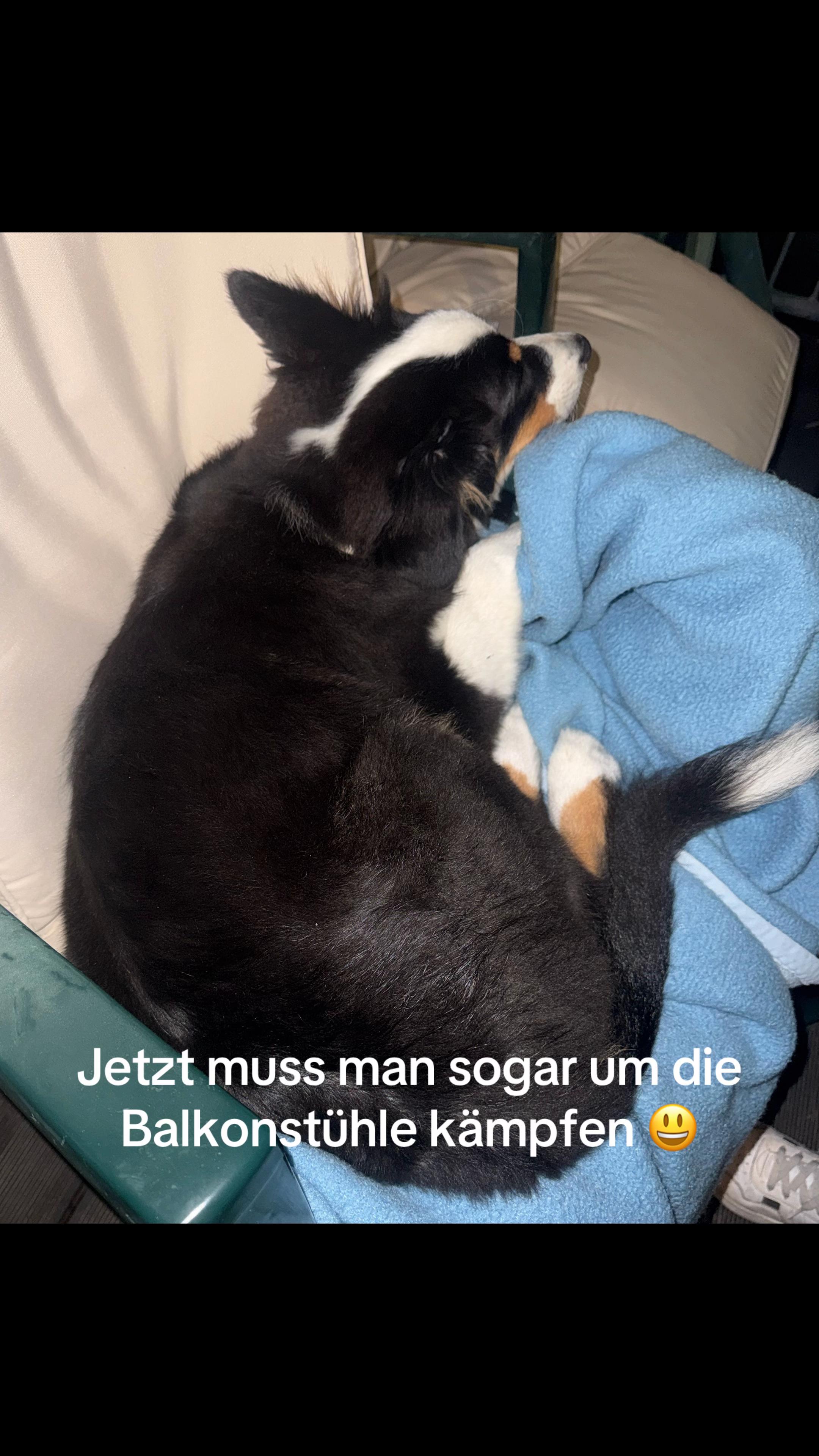 @🐕Di Ana🐕