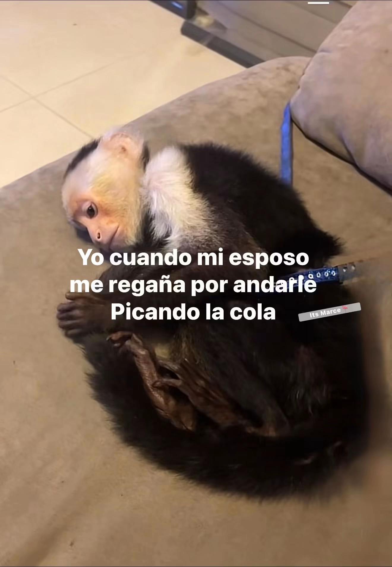 @Sarahi Lopez